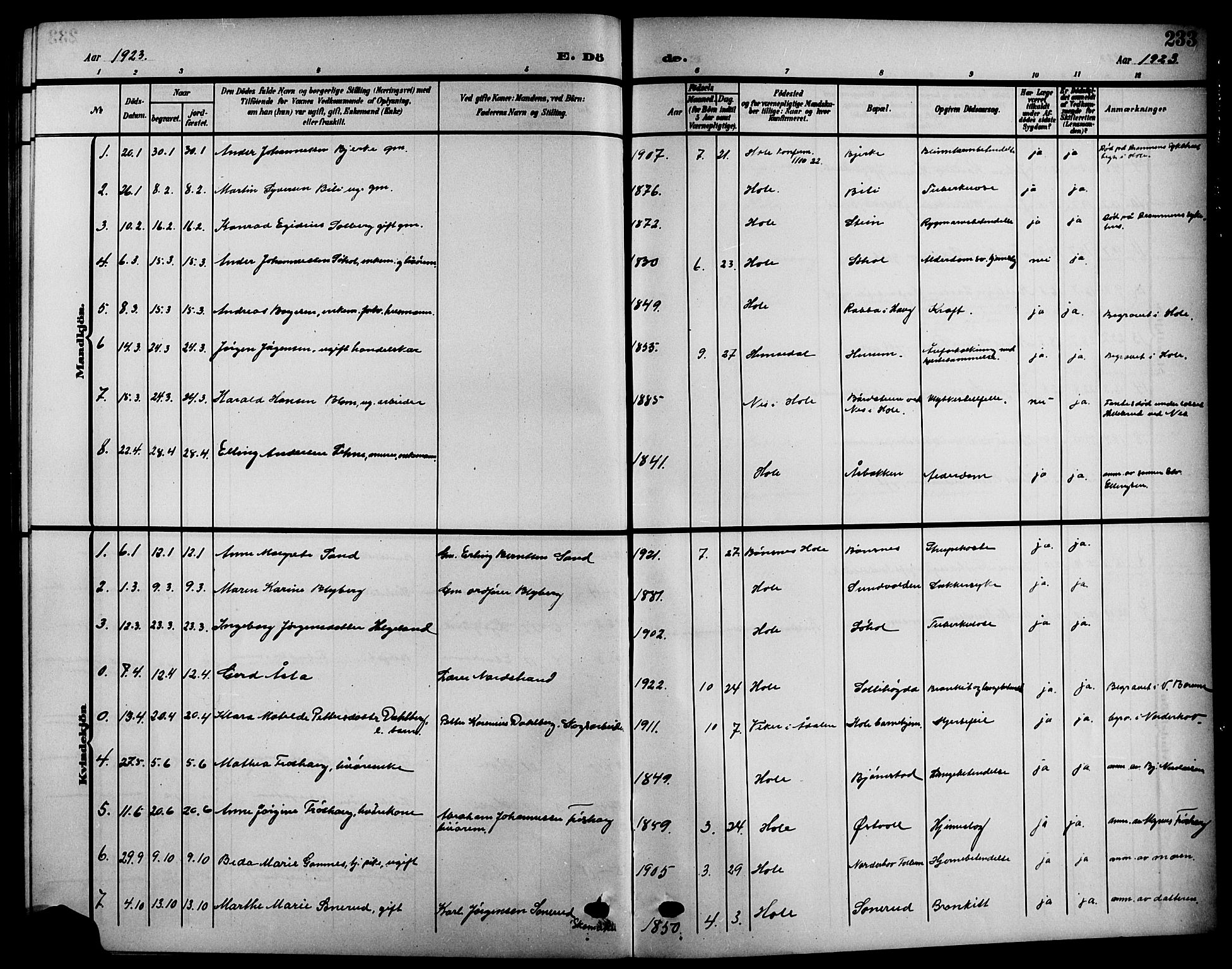 Hole kirkebøker, SAKO/A-228/G/Ga/L0004: Parish register (copy) no. I 4, 1905-1924, p. 233