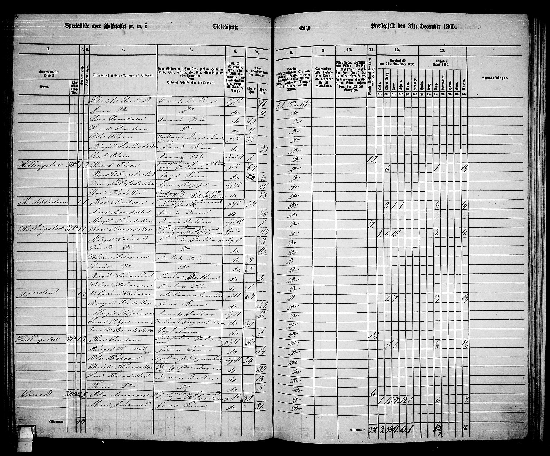 RA, 1865 census for Ål, 1865, p. 188