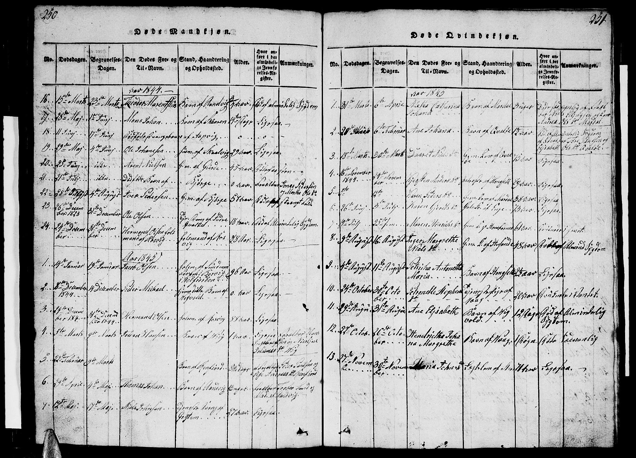 Ministerialprotokoller, klokkerbøker og fødselsregistre - Nordland, SAT/A-1459/812/L0186: Parish register (copy) no. 812C04, 1820-1849, p. 250-251