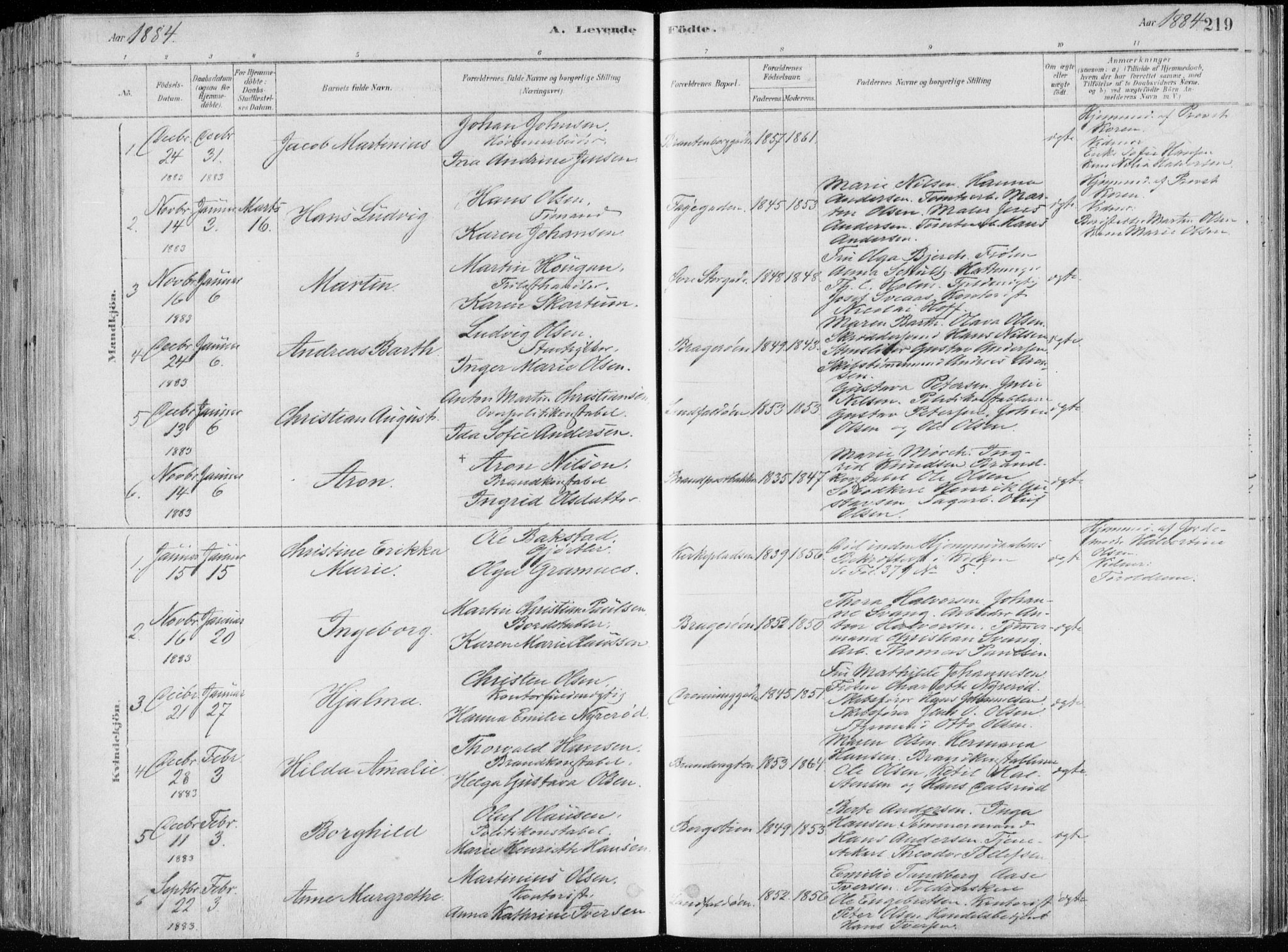Bragernes kirkebøker, SAKO/A-6/F/Fb/L0006a: Parish register (official) no. II 6A, 1878-1885, p. 219
