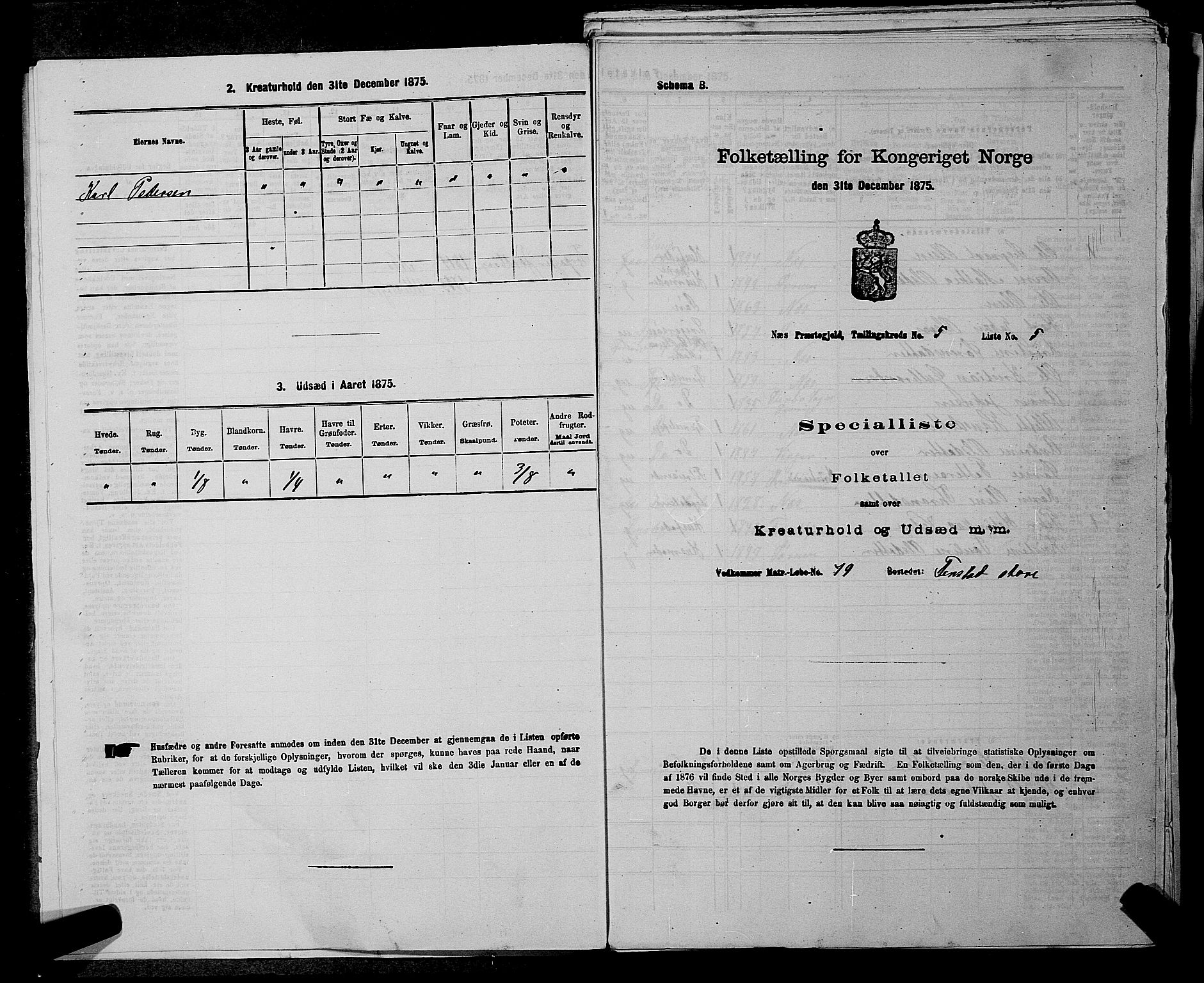 RA, 1875 census for 0236P Nes, 1875, p. 701