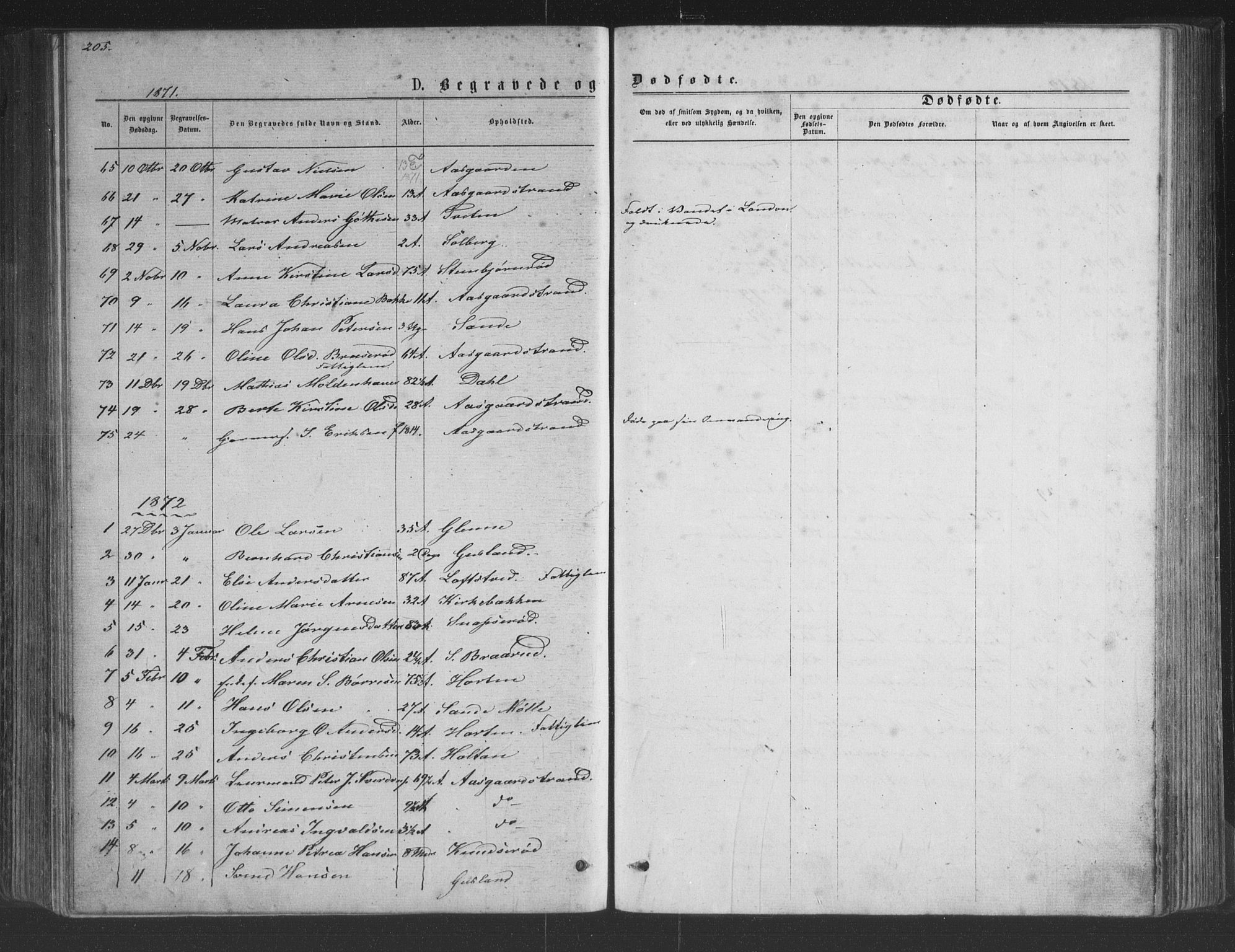 Borre kirkebøker, AV/SAKO-A-338/G/Ga/L0003: Parish register (copy) no. I 3, 1871-1892, p. 205