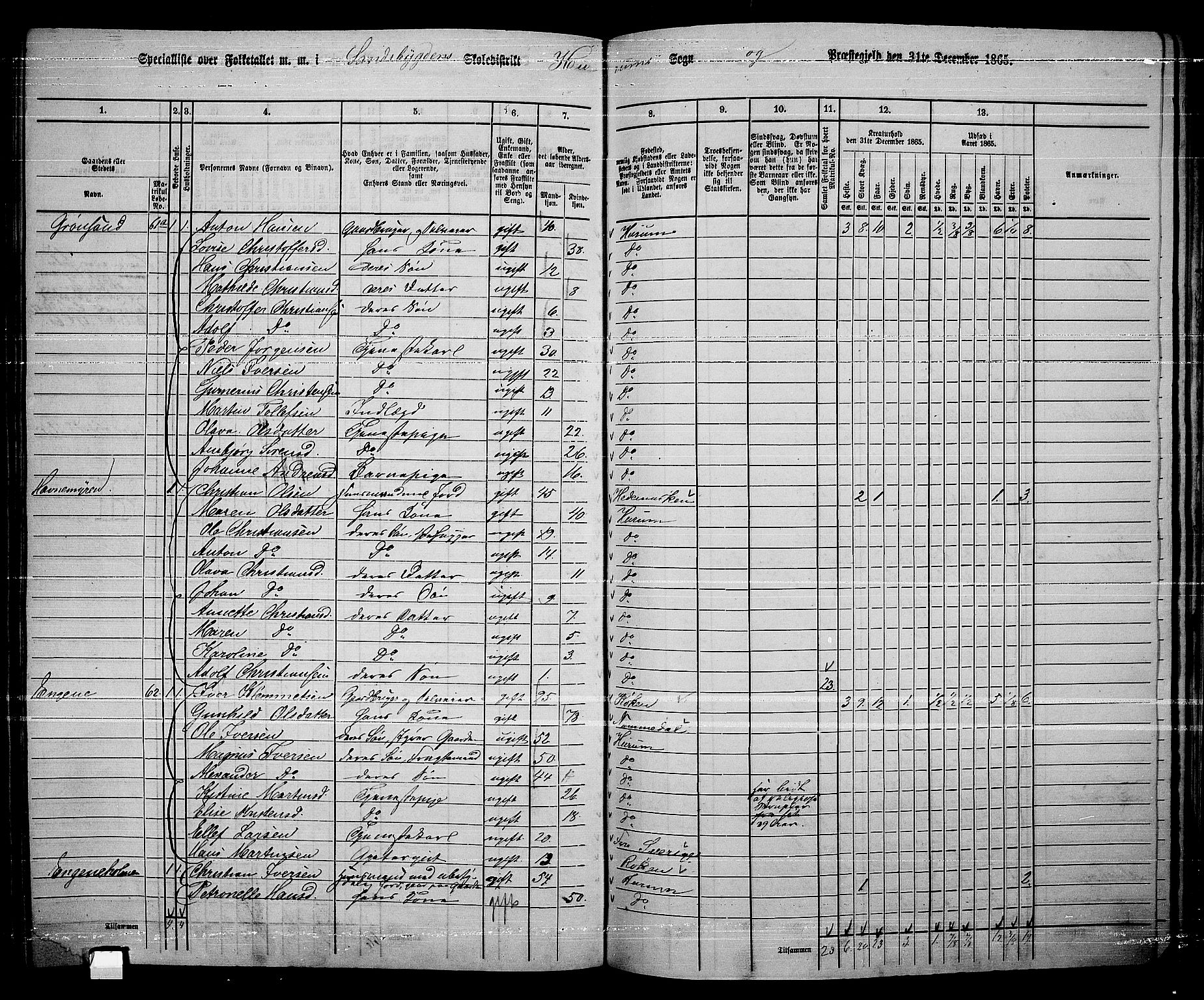 RA, 1865 census for Hurum, 1865, p. 89