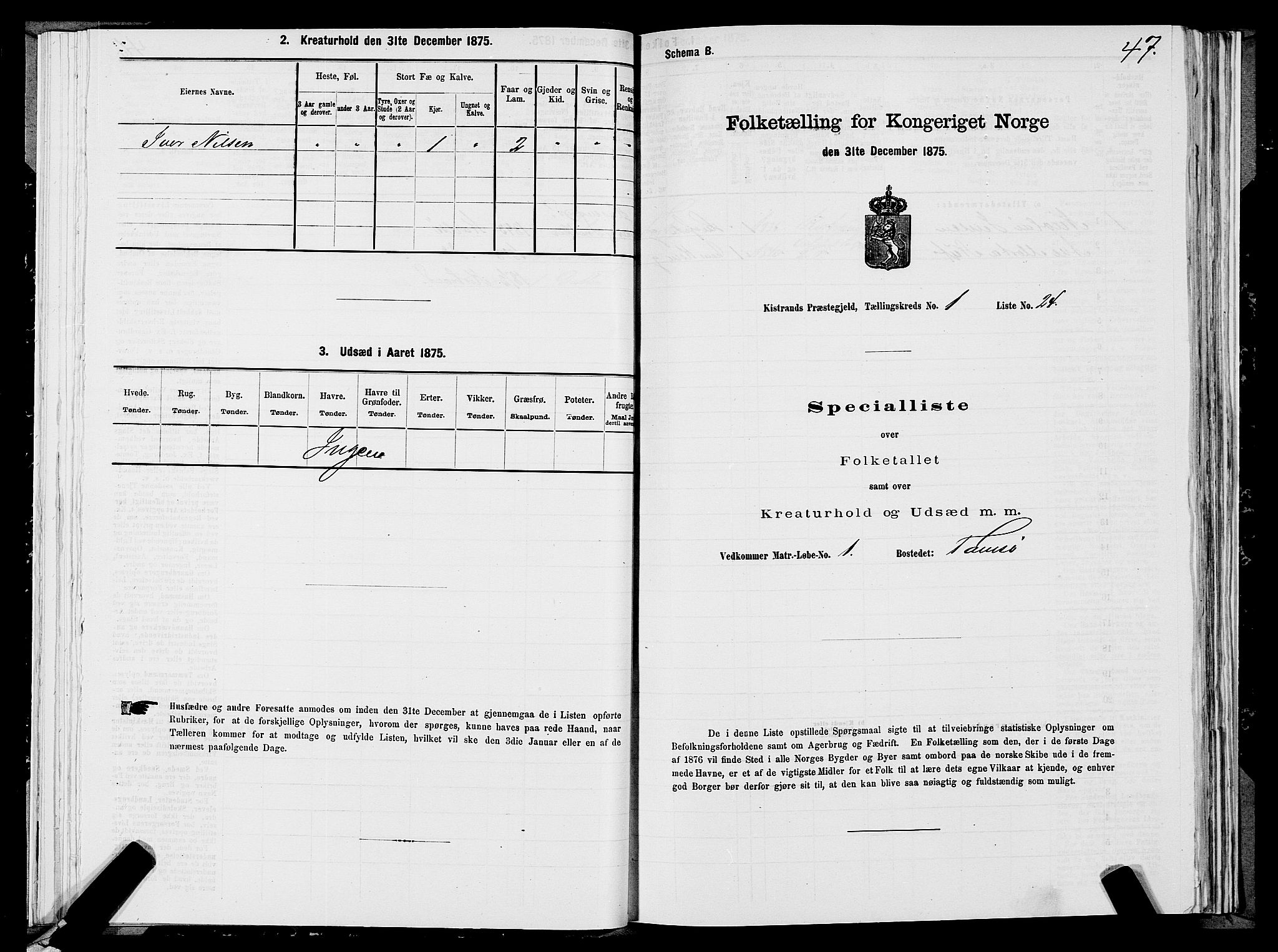 SATØ, 1875 census for 2020P Kistrand, 1875, p. 1047