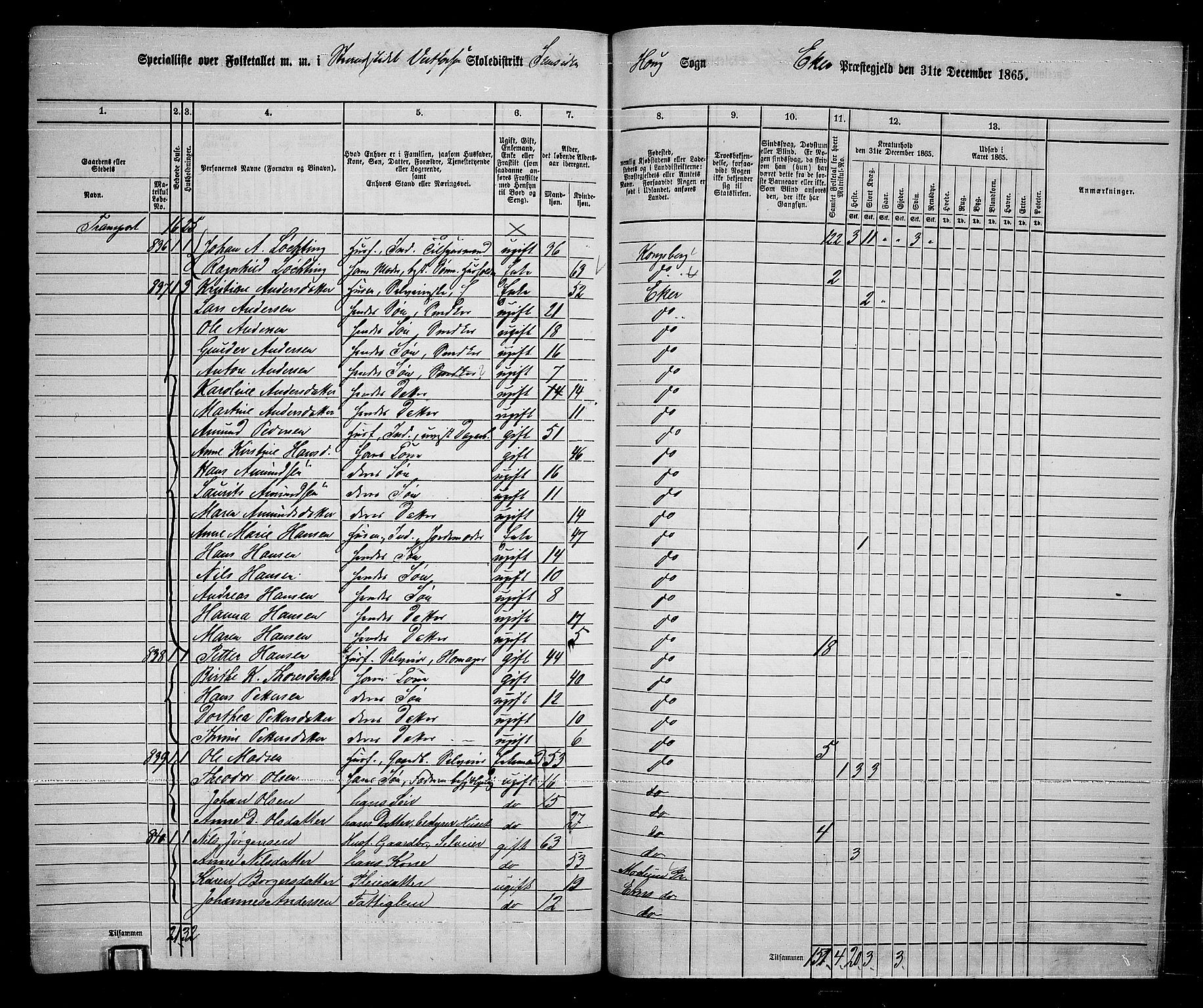 RA, 1865 census for Eiker, 1865, p. 245