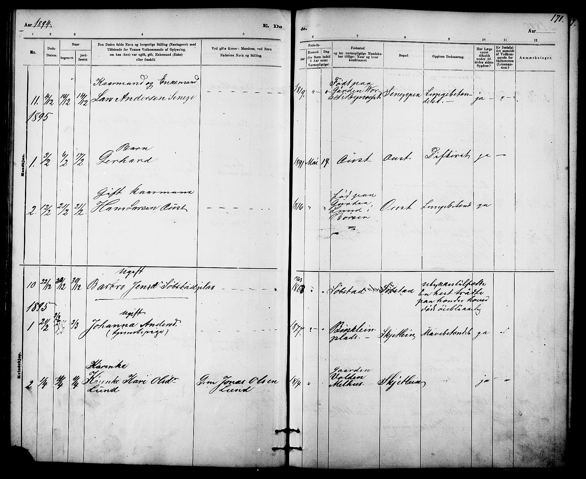 Ministerialprotokoller, klokkerbøker og fødselsregistre - Sør-Trøndelag, SAT/A-1456/613/L0395: Parish register (copy) no. 613C03, 1887-1909, p. 171