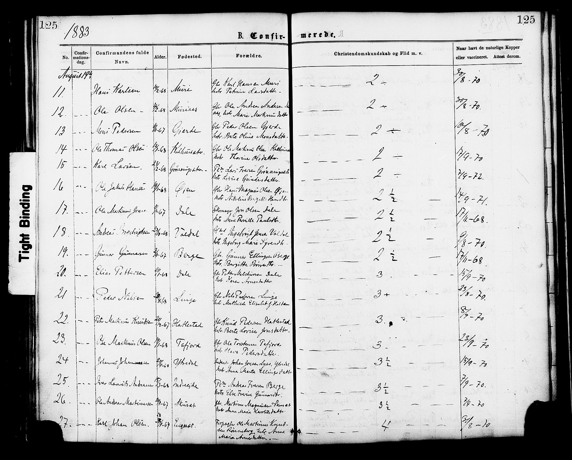 Ministerialprotokoller, klokkerbøker og fødselsregistre - Møre og Romsdal, AV/SAT-A-1454/519/L0254: Parish register (official) no. 519A13, 1868-1883, p. 125