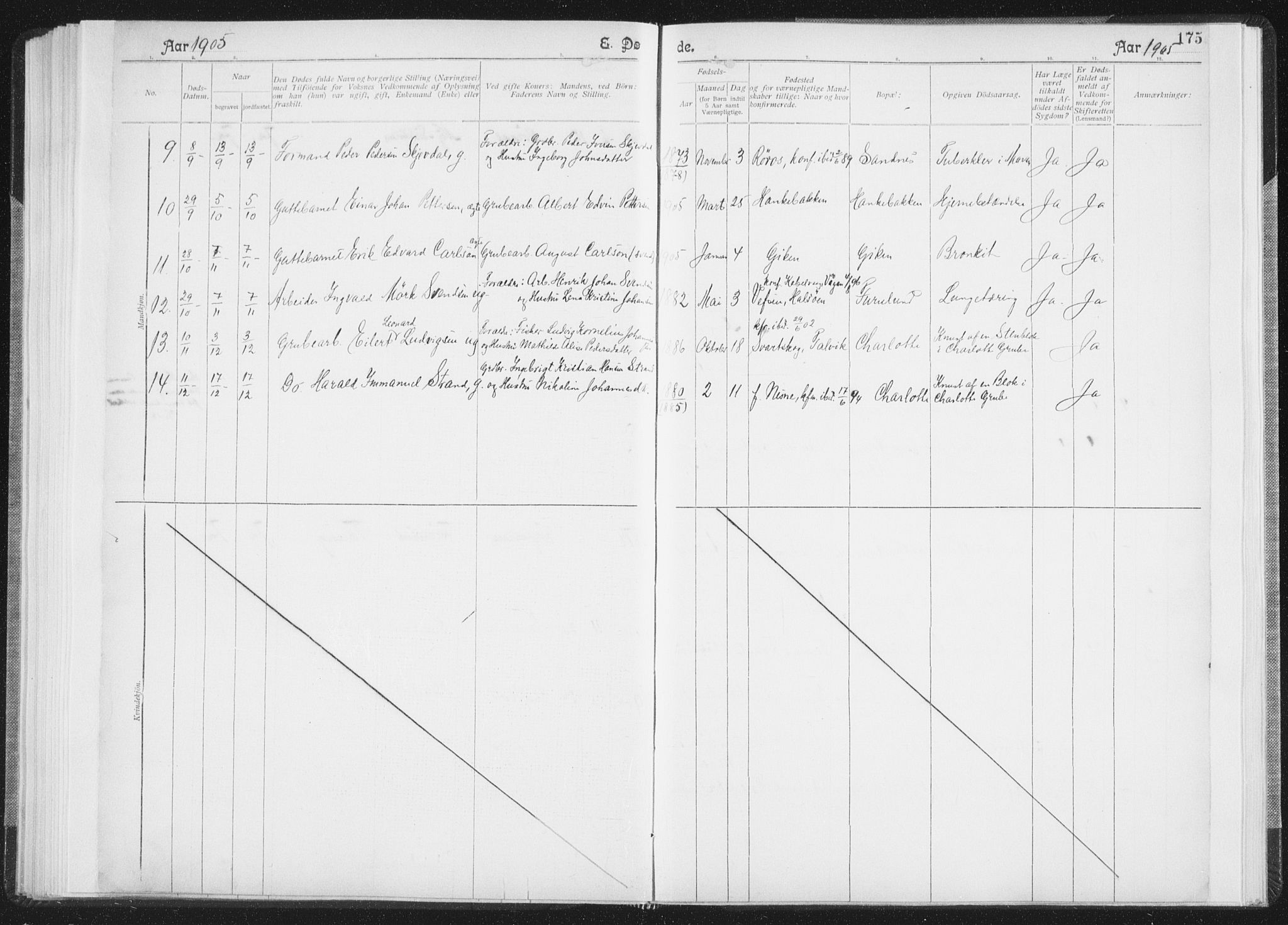 Ministerialprotokoller, klokkerbøker og fødselsregistre - Nordland, SAT/A-1459/850/L0711: Curate's parish register no. 850B01, 1902-1915, p. 175