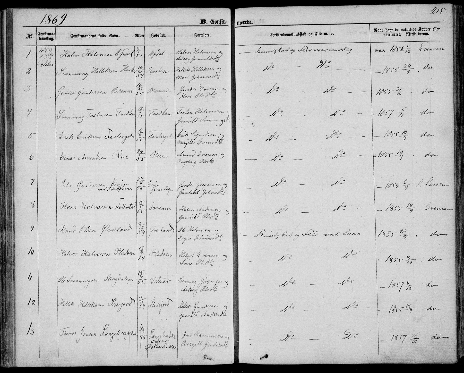 Bø kirkebøker, SAKO/A-257/F/Fa/L0009: Parish register (official) no. 9, 1862-1879, p. 215