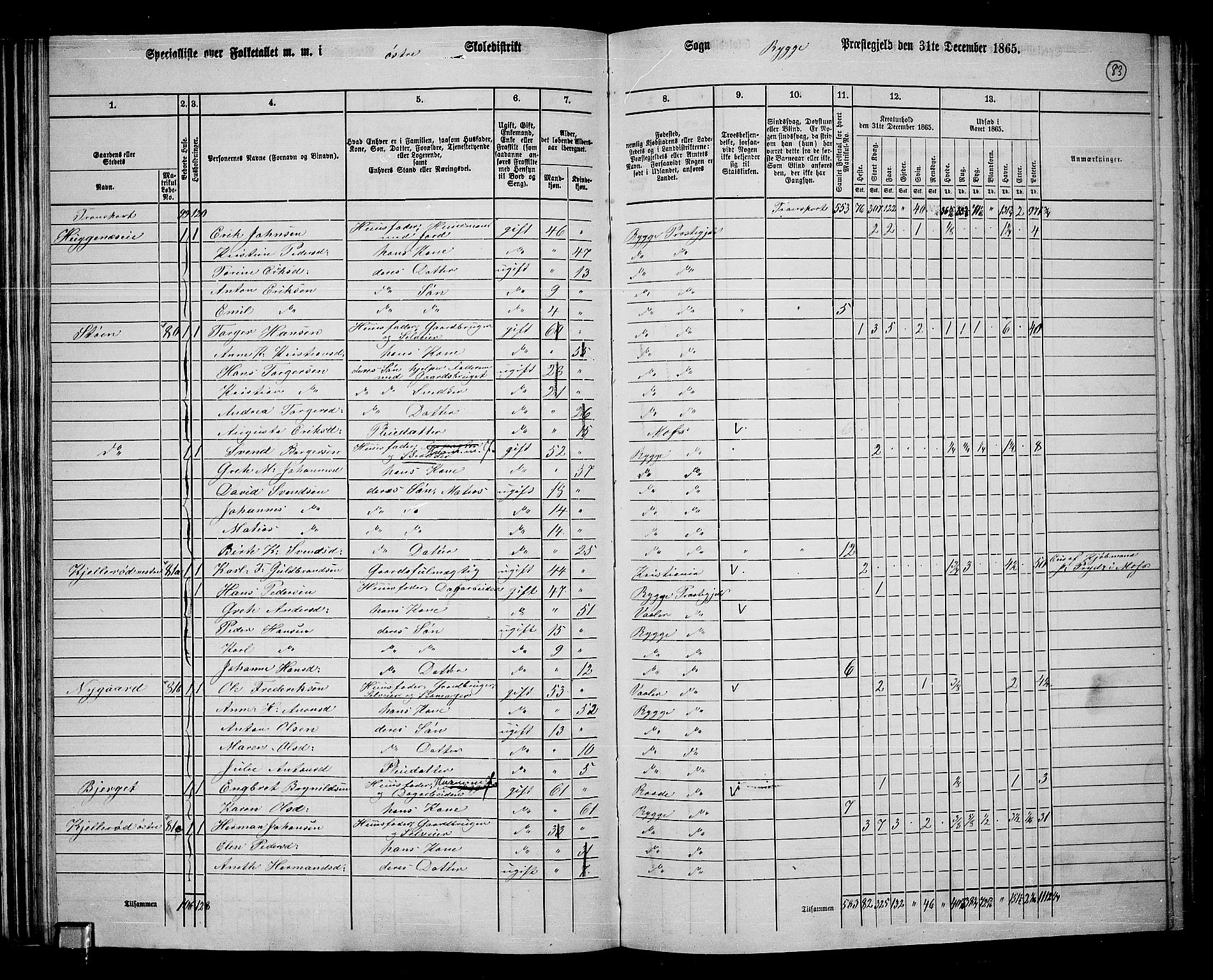 RA, 1865 census for Rygge, 1865, p. 26