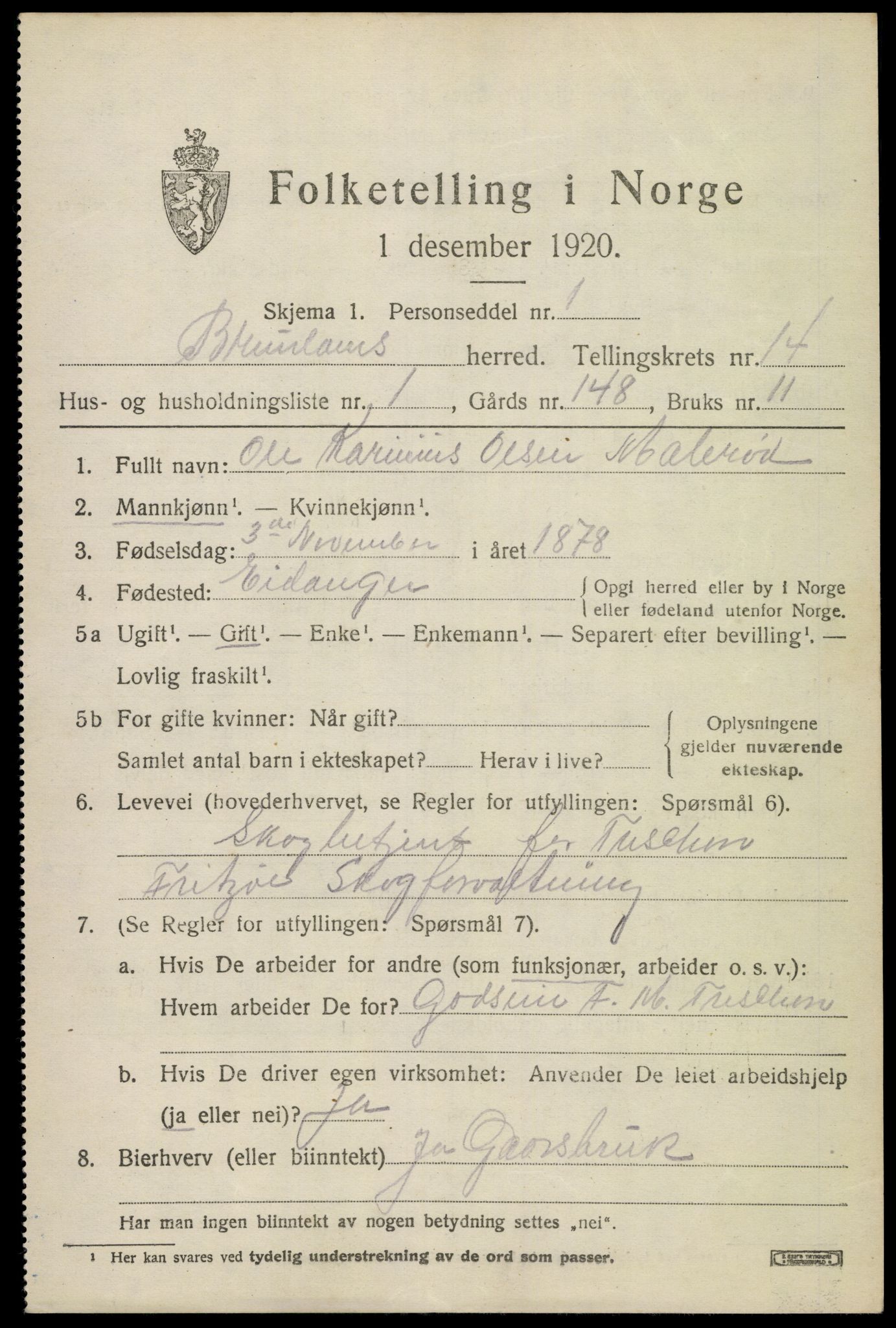 SAKO, 1920 census for Brunlanes, 1920, p. 11343