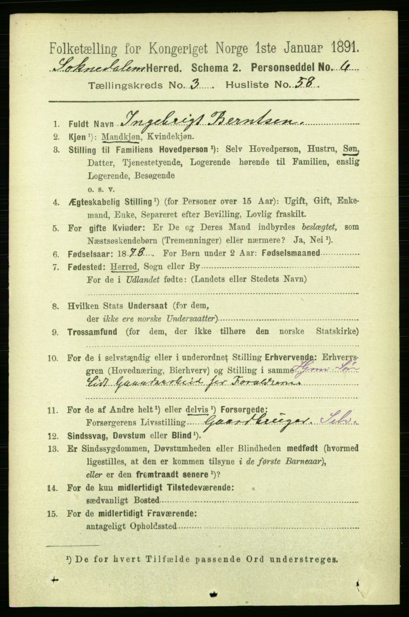 RA, 1891 census for 1649 Soknedal, 1891, p. 1521