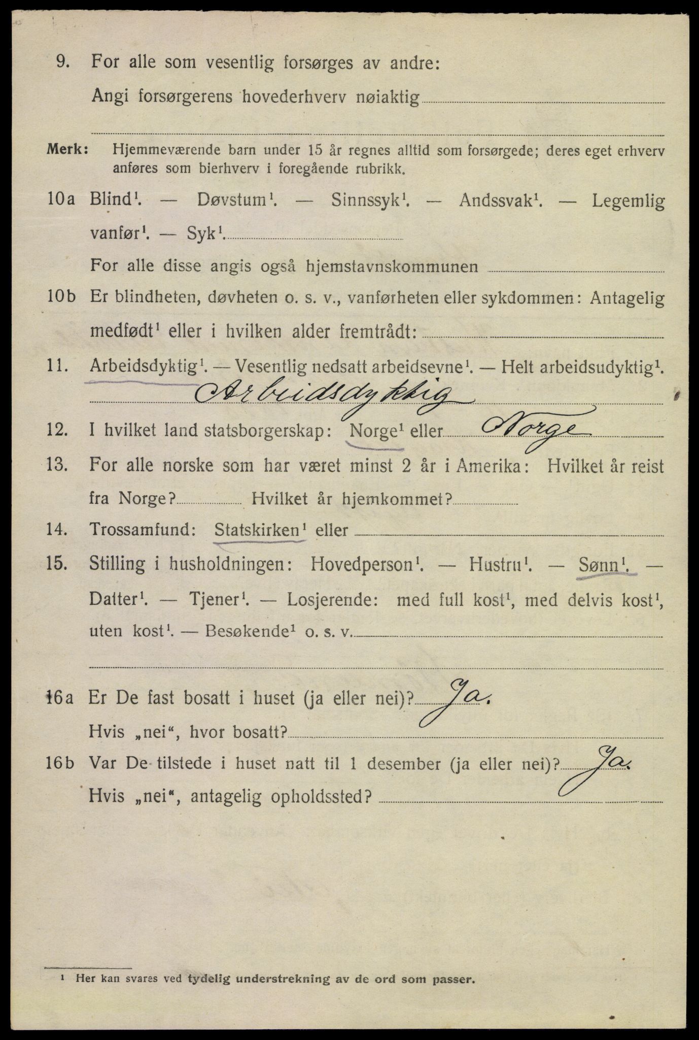 SAKO, 1920 census for Kragerø, 1920, p. 12034