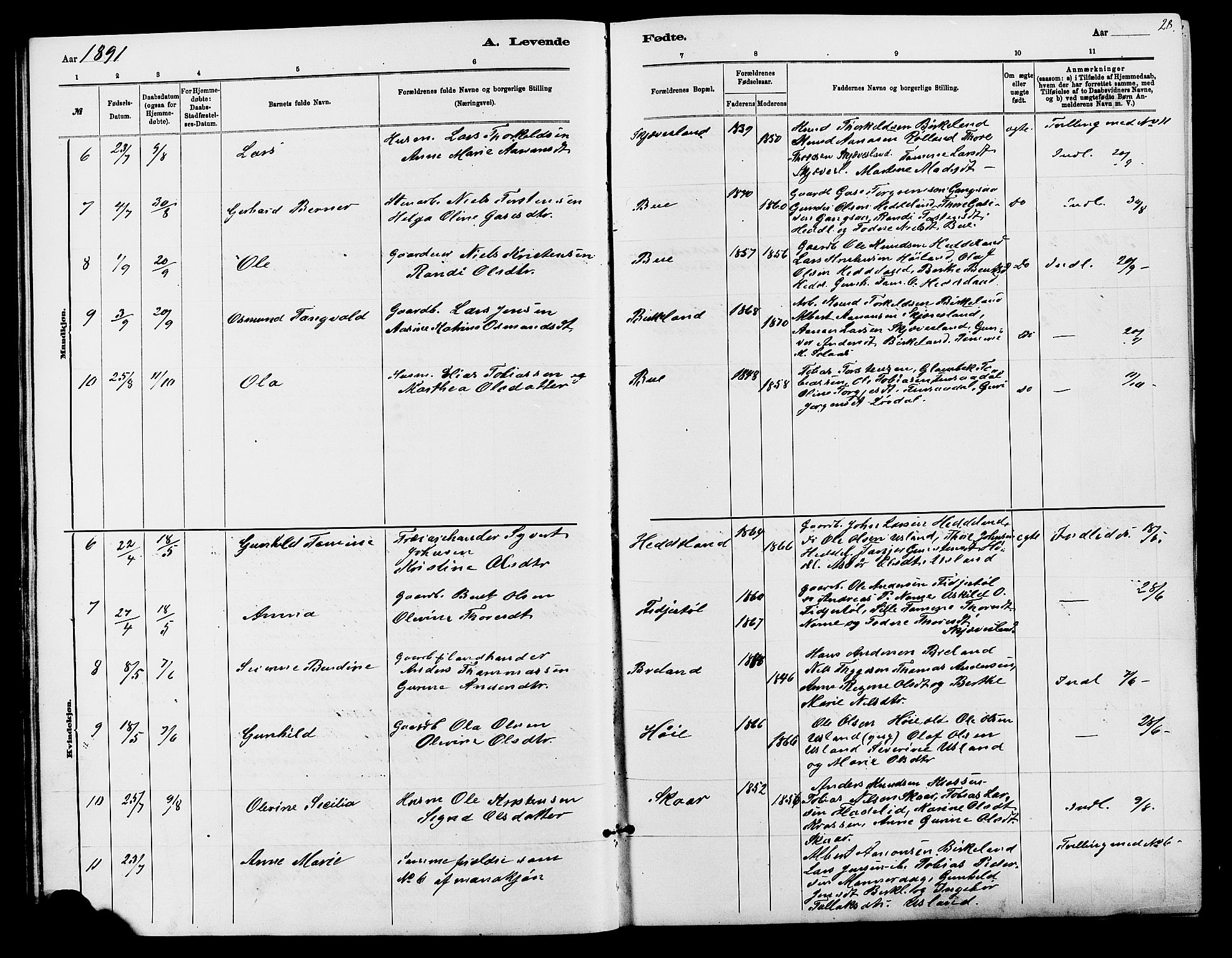 Holum sokneprestkontor, AV/SAK-1111-0022/F/Fb/Fbc/L0003: Parish register (copy) no. B 3, 1882-1908, p. 28