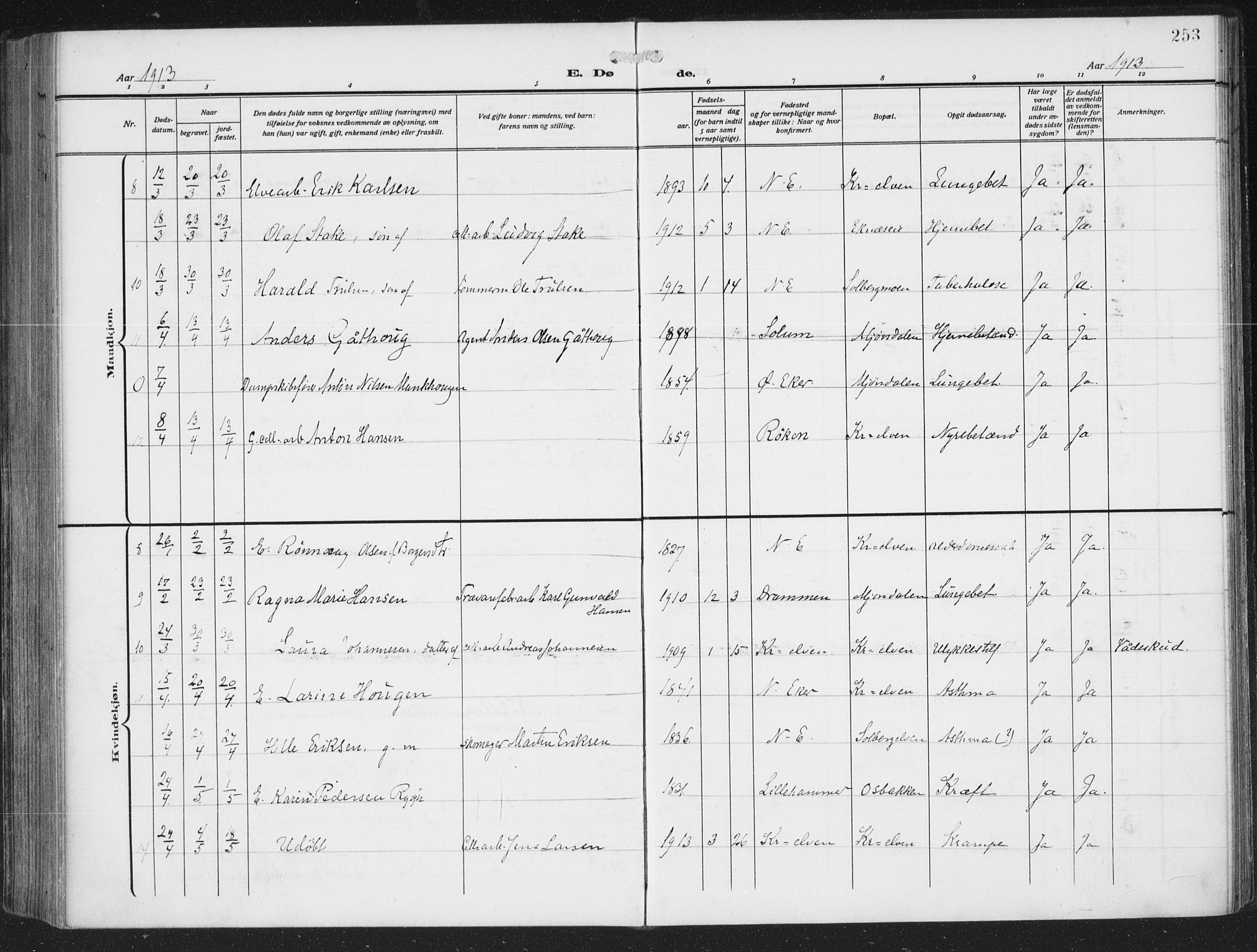 Nedre Eiker kirkebøker, AV/SAKO-A-612/F/Fa/L0007: Parish register (official) no. 7, 1912-1918, p. 253