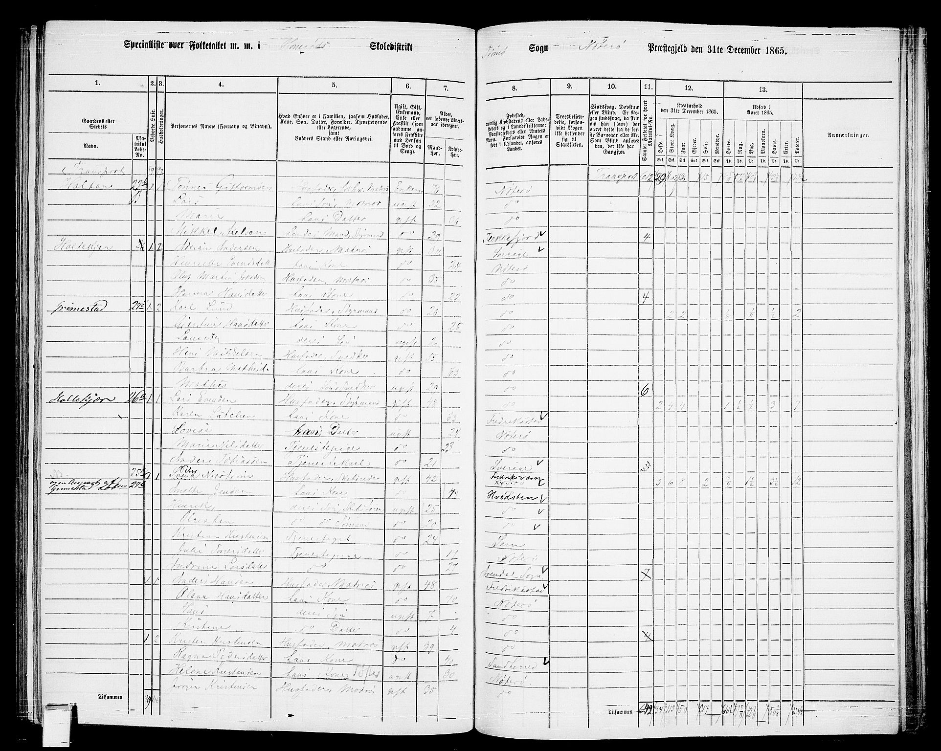 RA, 1865 census for Nøtterøy, 1865, p. 225