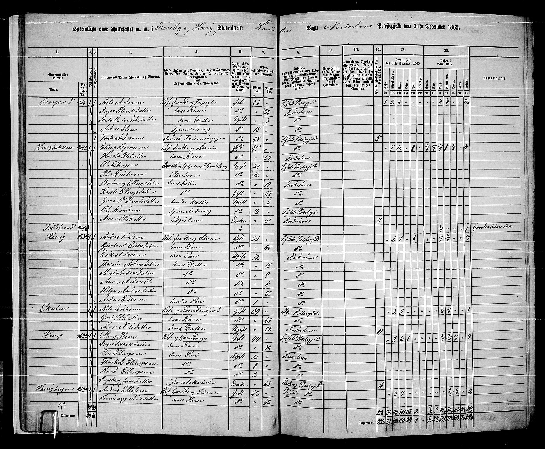 RA, 1865 census for Norderhov/Norderhov, Haug og Lunder, 1865, p. 24