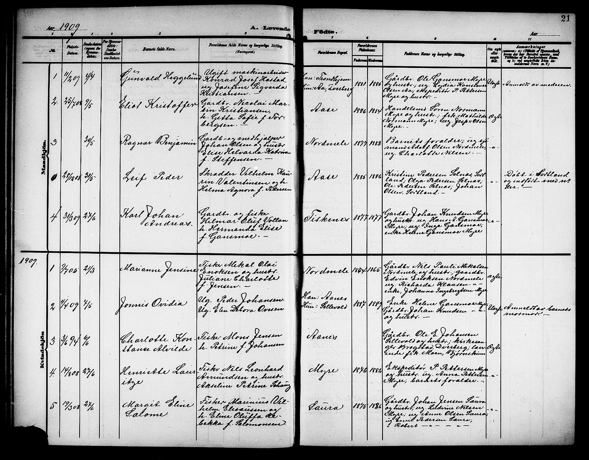 Ministerialprotokoller, klokkerbøker og fødselsregistre - Nordland, SAT/A-1459/897/L1414: Parish register (copy) no. 897C04, 1904-1915, p. 21