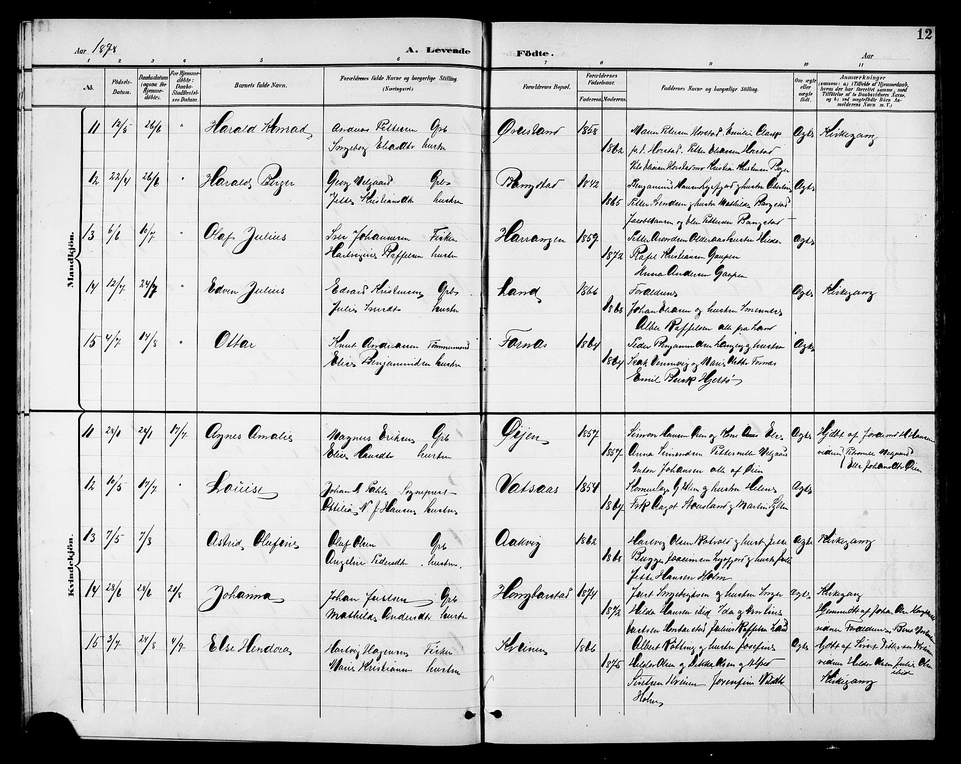 Ministerialprotokoller, klokkerbøker og fødselsregistre - Nordland, AV/SAT-A-1459/810/L0161: Parish register (copy) no. 810C04, 1897-1910, p. 12