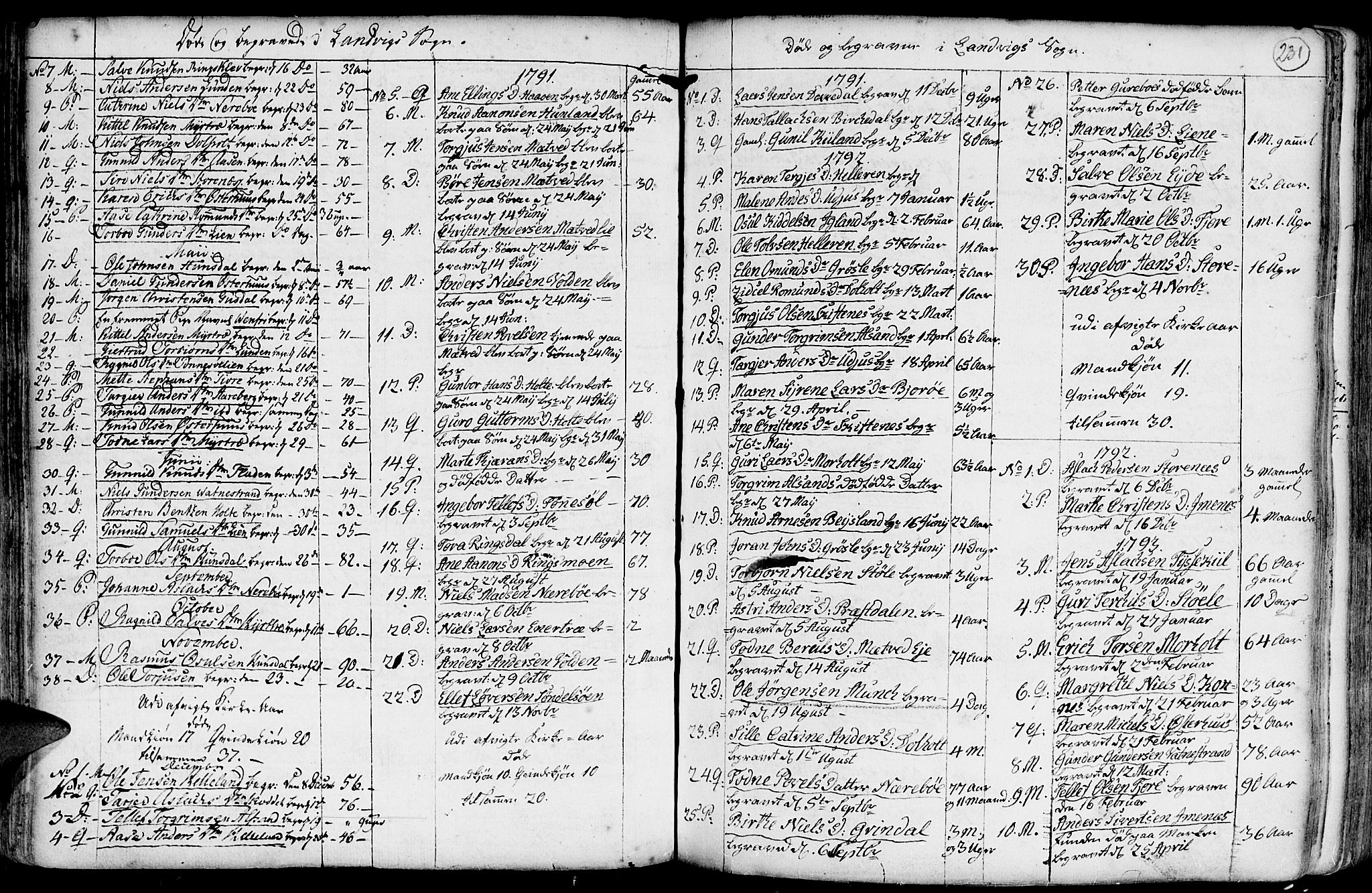 Hommedal sokneprestkontor, AV/SAK-1111-0023/F/Fa/Fab/L0002: Parish register (official) no. A 2 /1, 1741-1848, p. 231