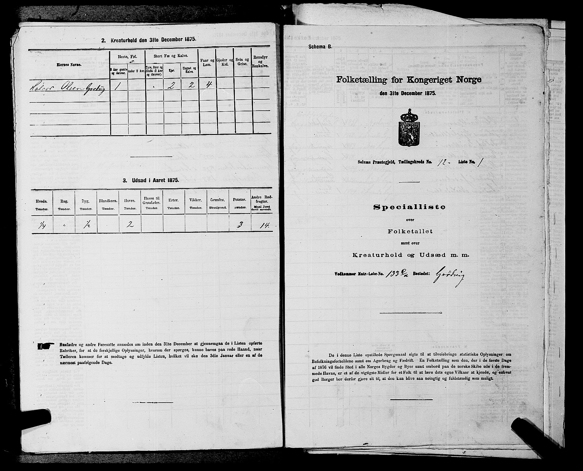 SAKO, 1875 census for 0818P Solum, 1875, p. 1882