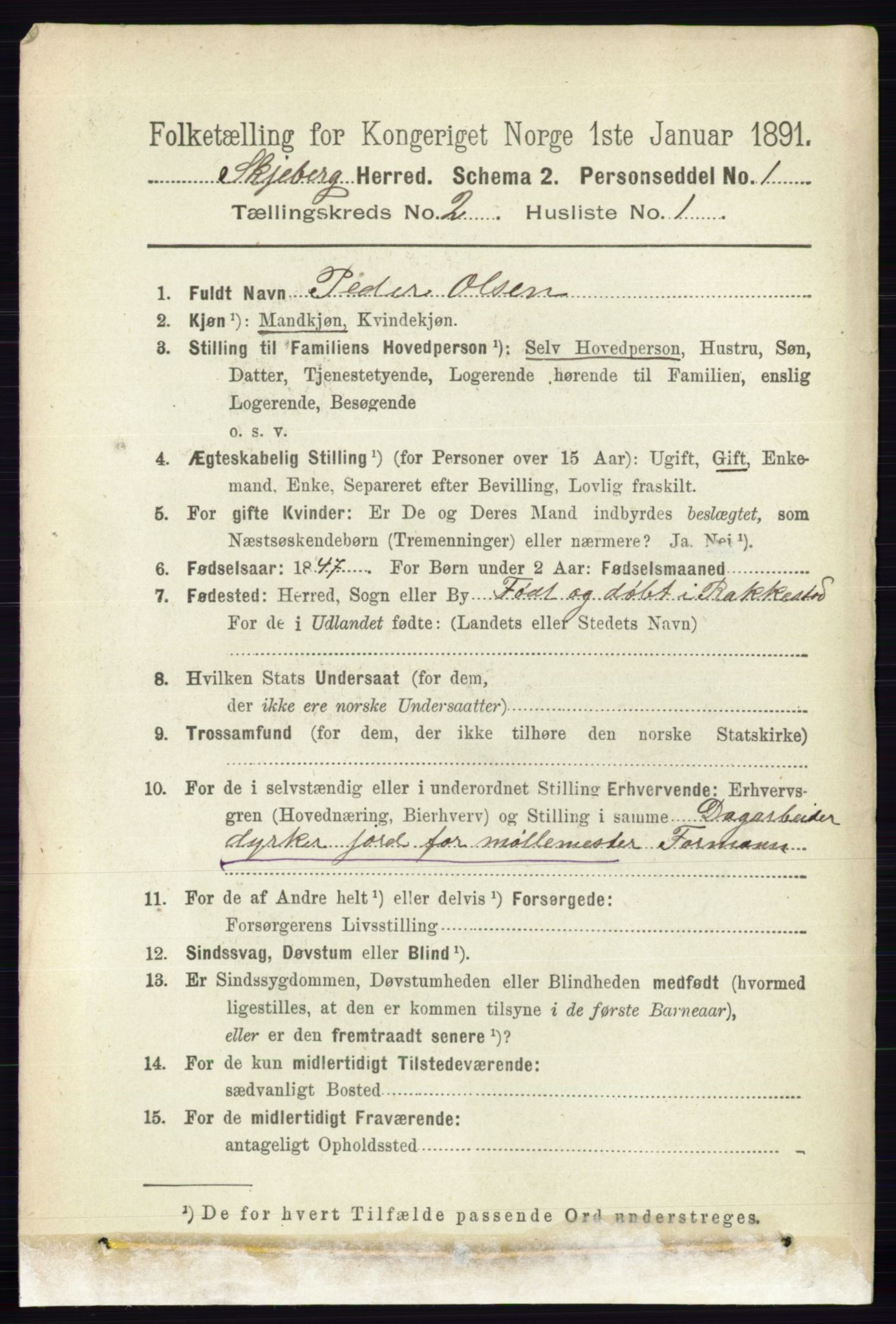 RA, 1891 census for 0115 Skjeberg, 1891, p. 909