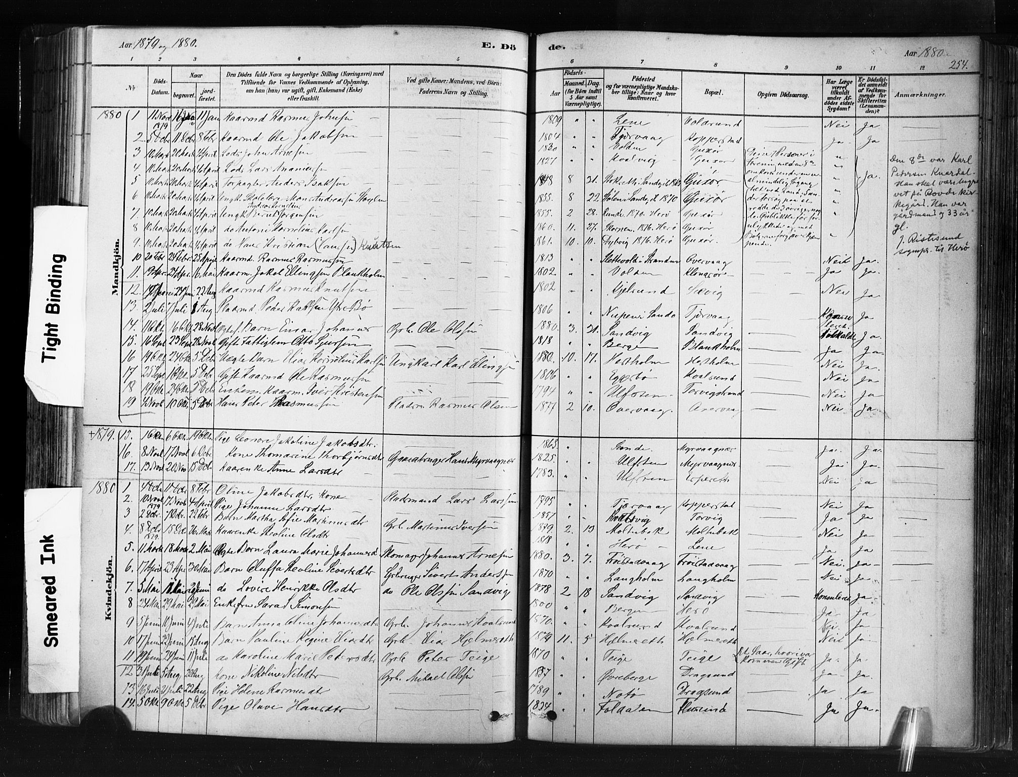 Ministerialprotokoller, klokkerbøker og fødselsregistre - Møre og Romsdal, SAT/A-1454/507/L0073: Parish register (official) no. 507A08, 1878-1904, p. 254