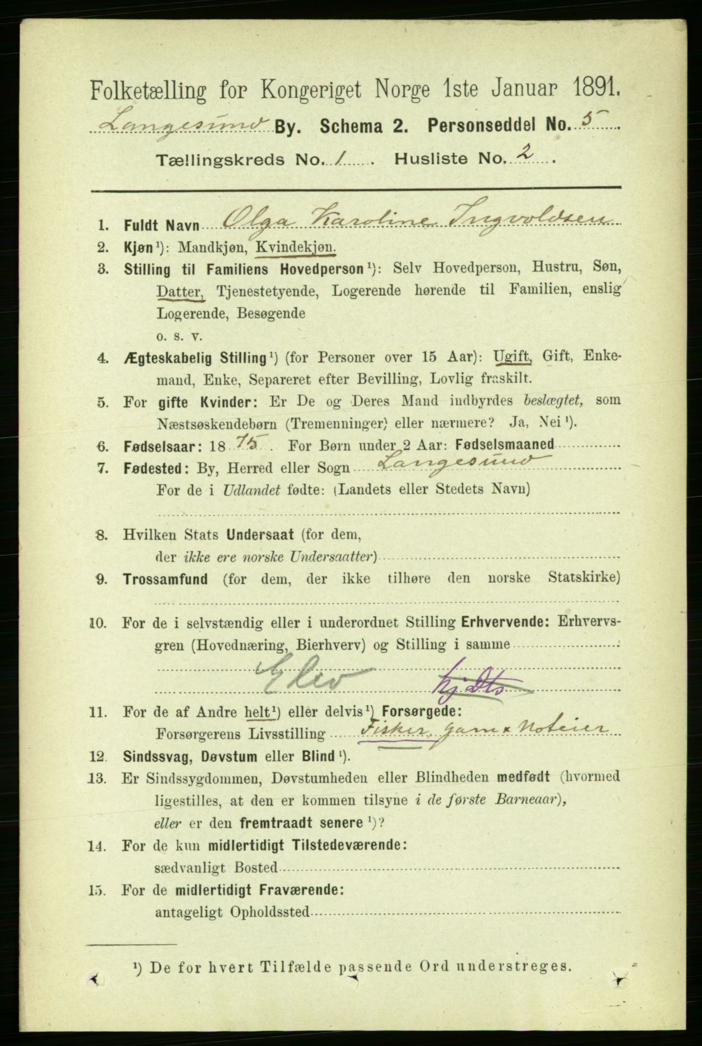 RA, 1891 census for 0802 Langesund, 1891, p. 513