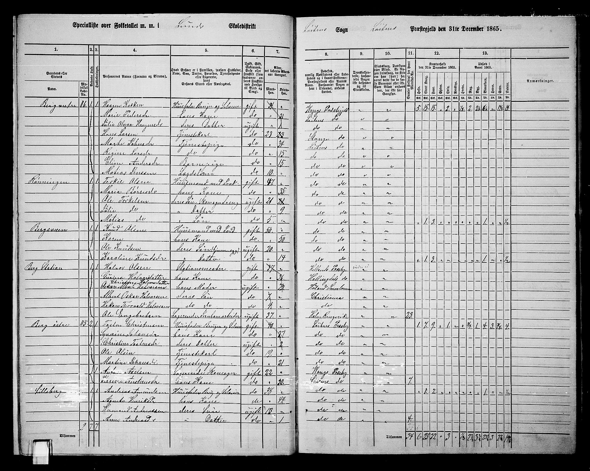 RA, 1865 census for Løten, 1865, p. 16