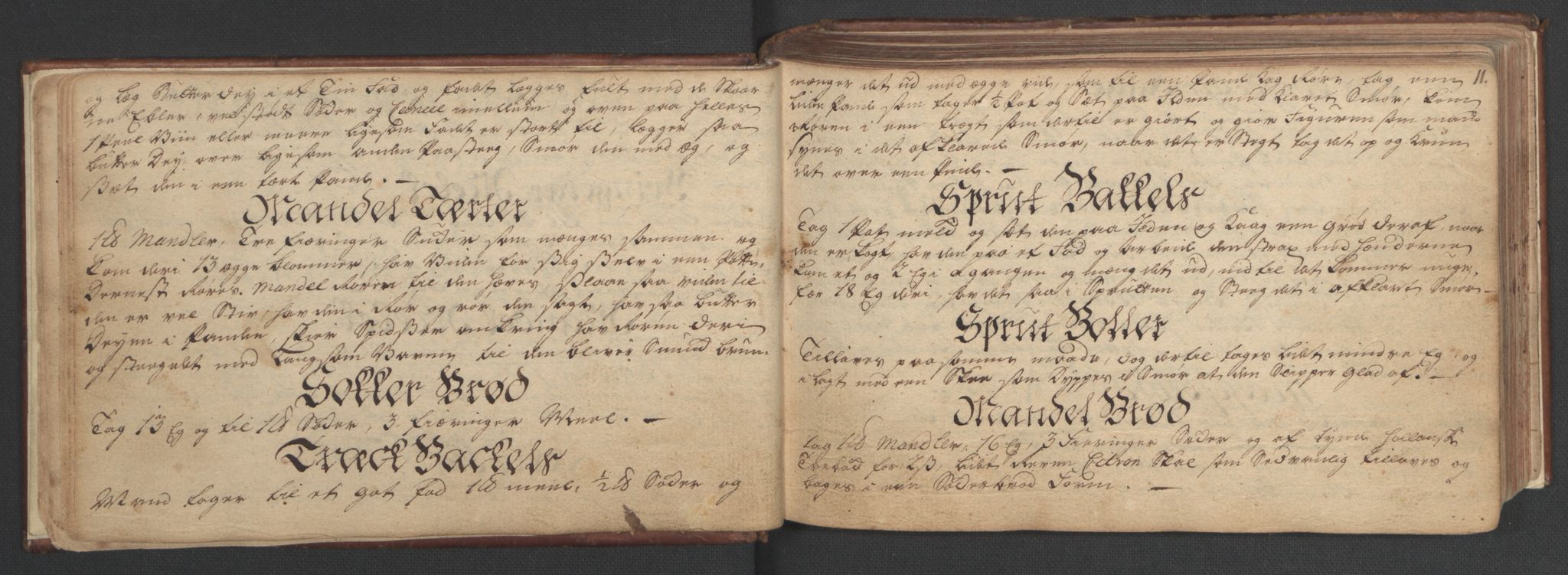 Manuskriptsamlingen, AV/RA-EA-3667/H/L0047: Familiestamrulle vedkommende Eliesonske, Ankerske, Colletske, Kiønigske m.m. familier - fra slutningen av 1600 til 1874 osv, 1600-1874, p. 10-11