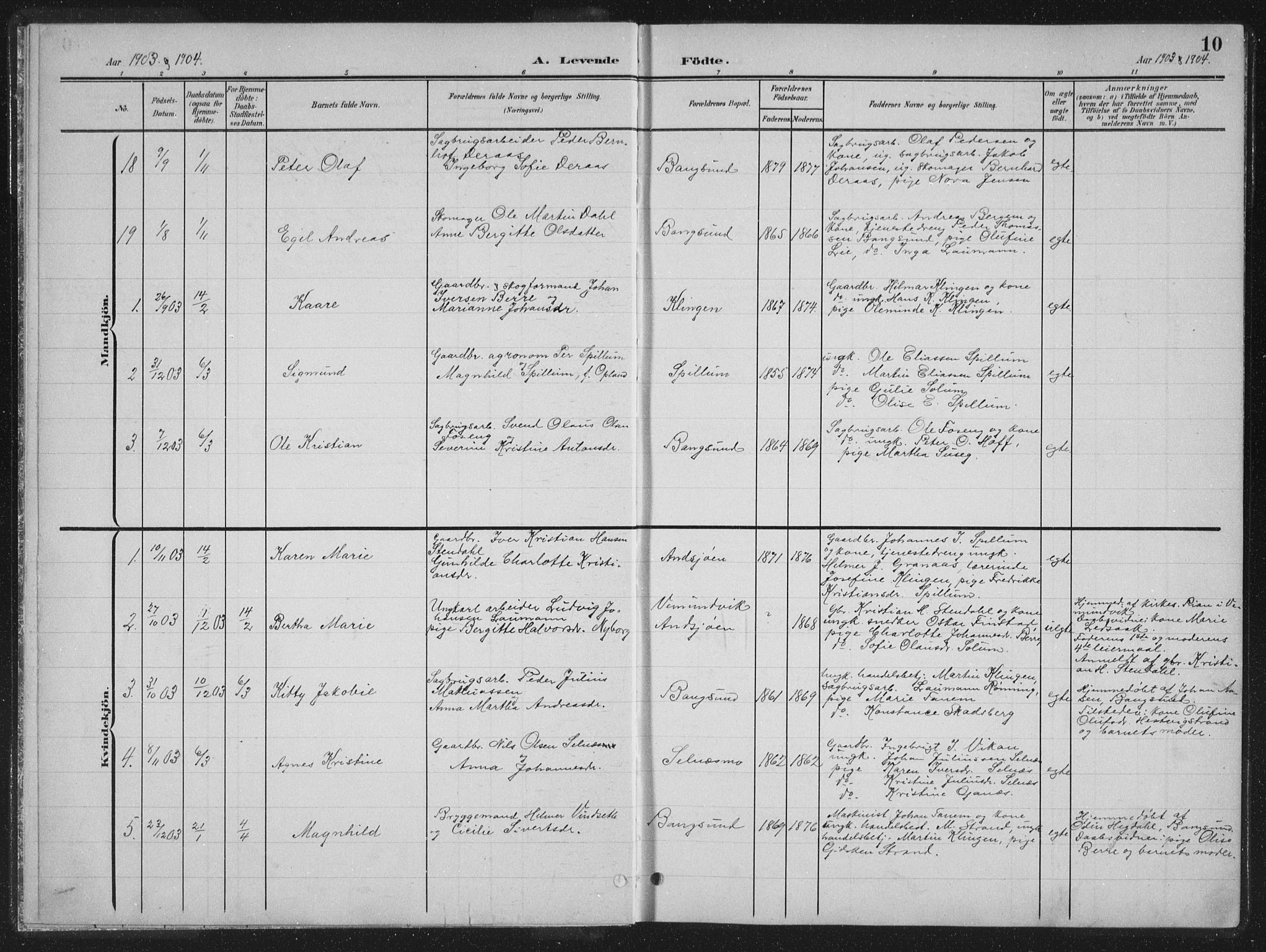 Ministerialprotokoller, klokkerbøker og fødselsregistre - Nord-Trøndelag, AV/SAT-A-1458/770/L0591: Parish register (copy) no. 770C02, 1902-1940, p. 10