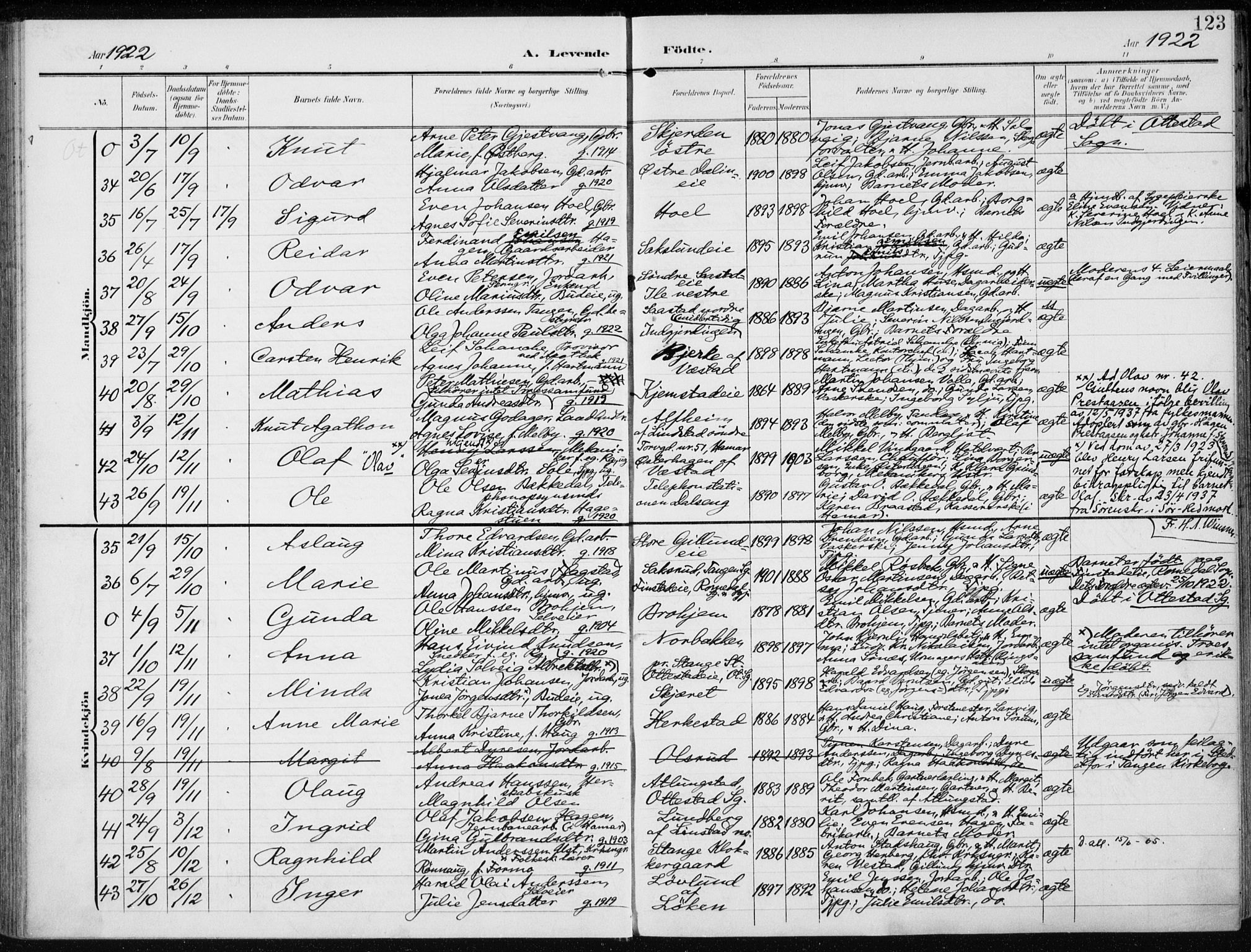 Stange prestekontor, AV/SAH-PREST-002/K/L0024: Parish register (official) no. 24, 1906-1922, p. 123