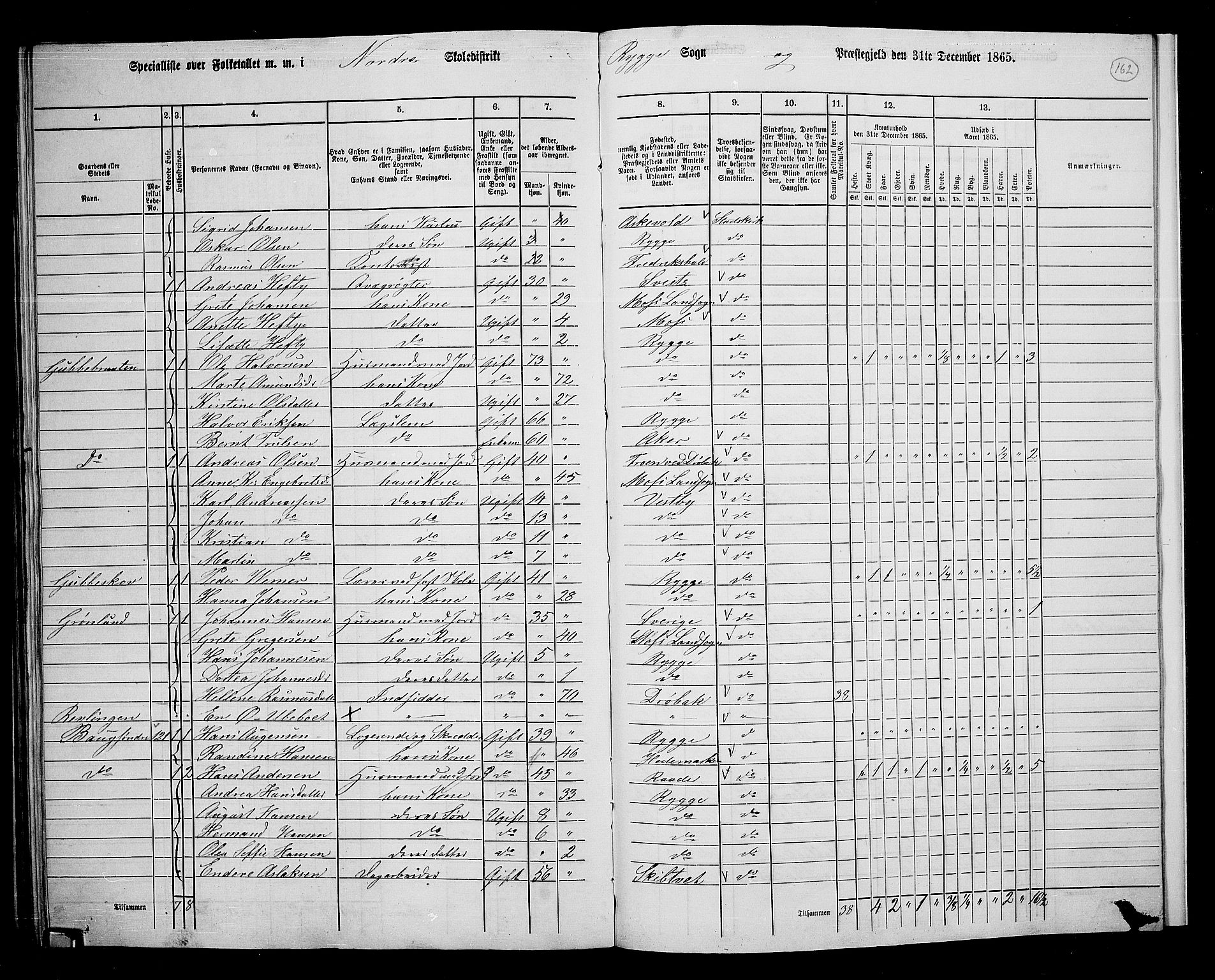 RA, 1865 census for Rygge, 1865, p. 103