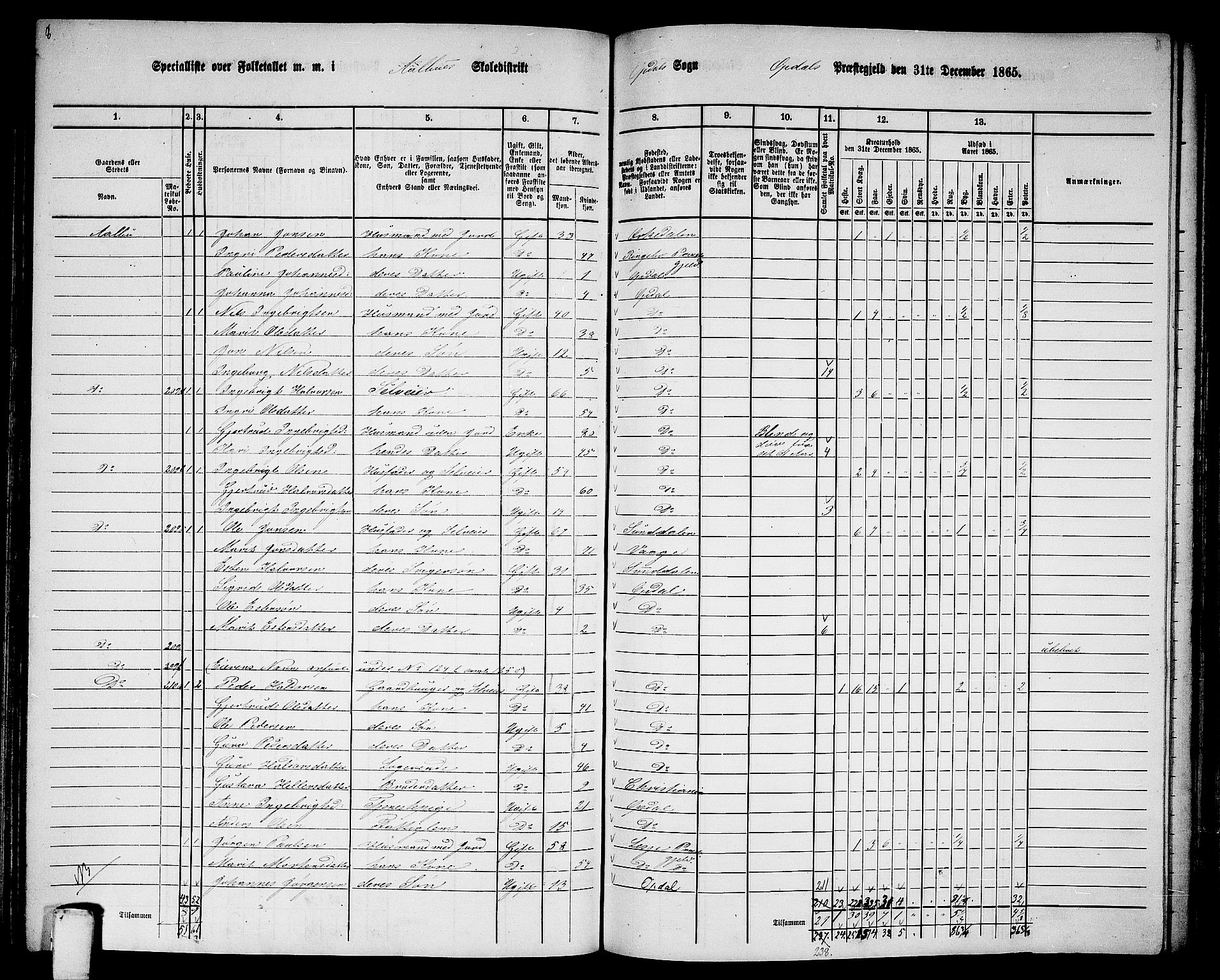 RA, 1865 census for Oppdal, 1865, p. 110