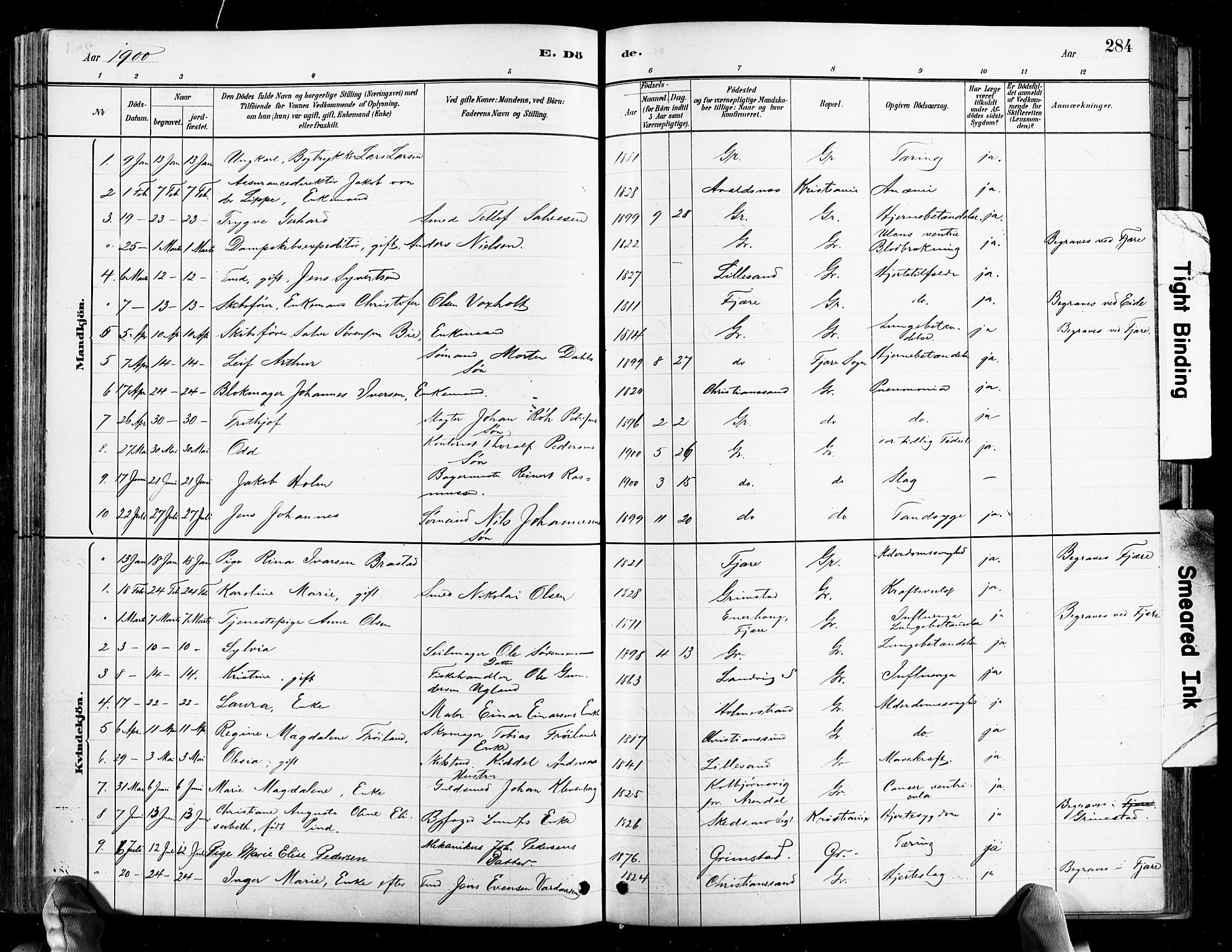 Grimstad sokneprestkontor, SAK/1111-0017/F/Fb/L0001: Parish register (copy) no. B 1, 1881-1922, p. 284
