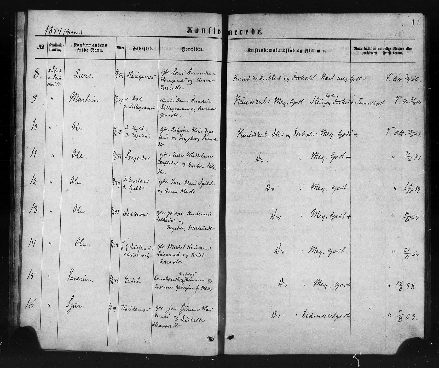 Ulvik sokneprestembete, AV/SAB-A-78801/H/Haa: Parish register (official) no. A 17, 1873-1891, p. 11