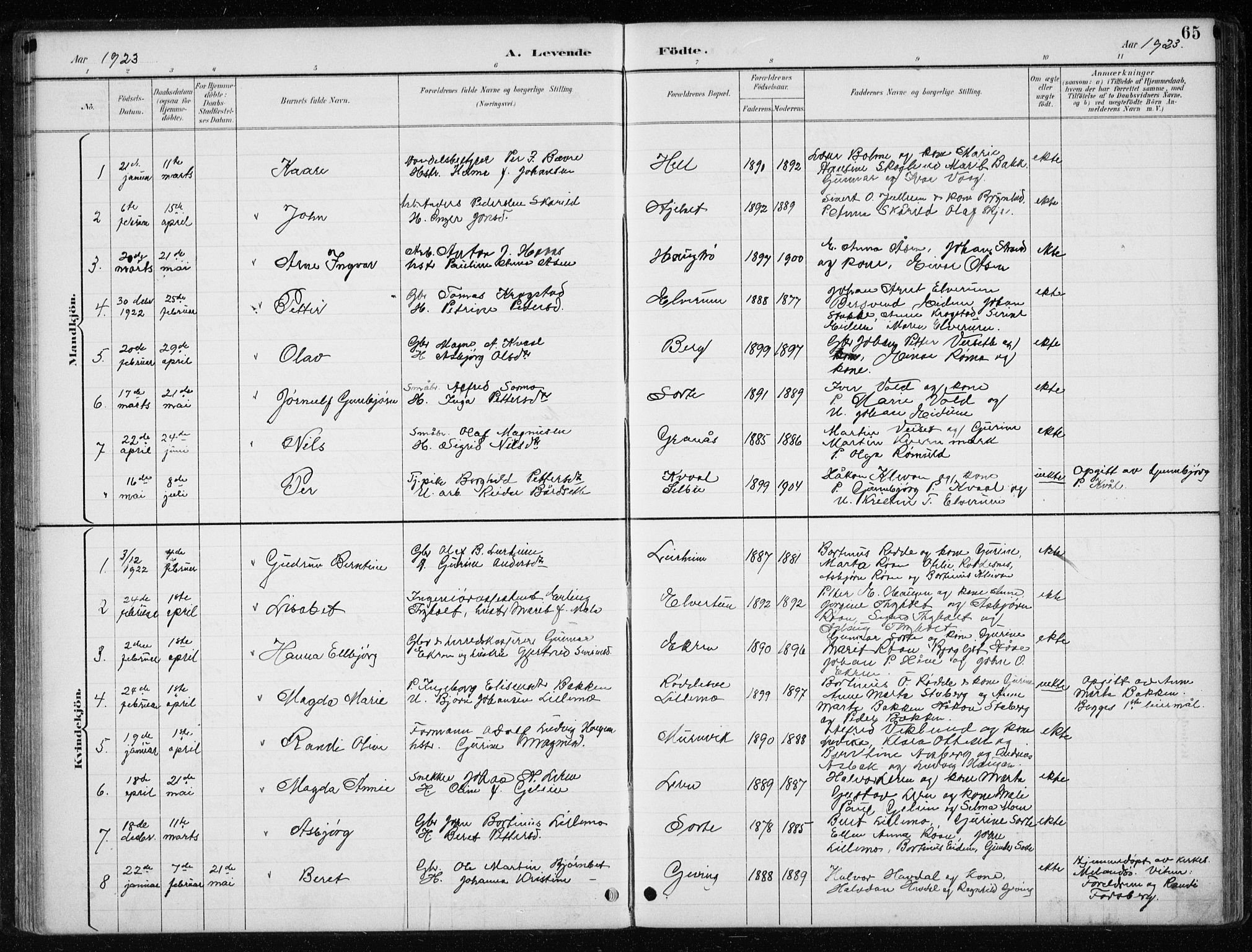 Ministerialprotokoller, klokkerbøker og fødselsregistre - Nord-Trøndelag, SAT/A-1458/710/L0096: Parish register (copy) no. 710C01, 1892-1925, p. 65