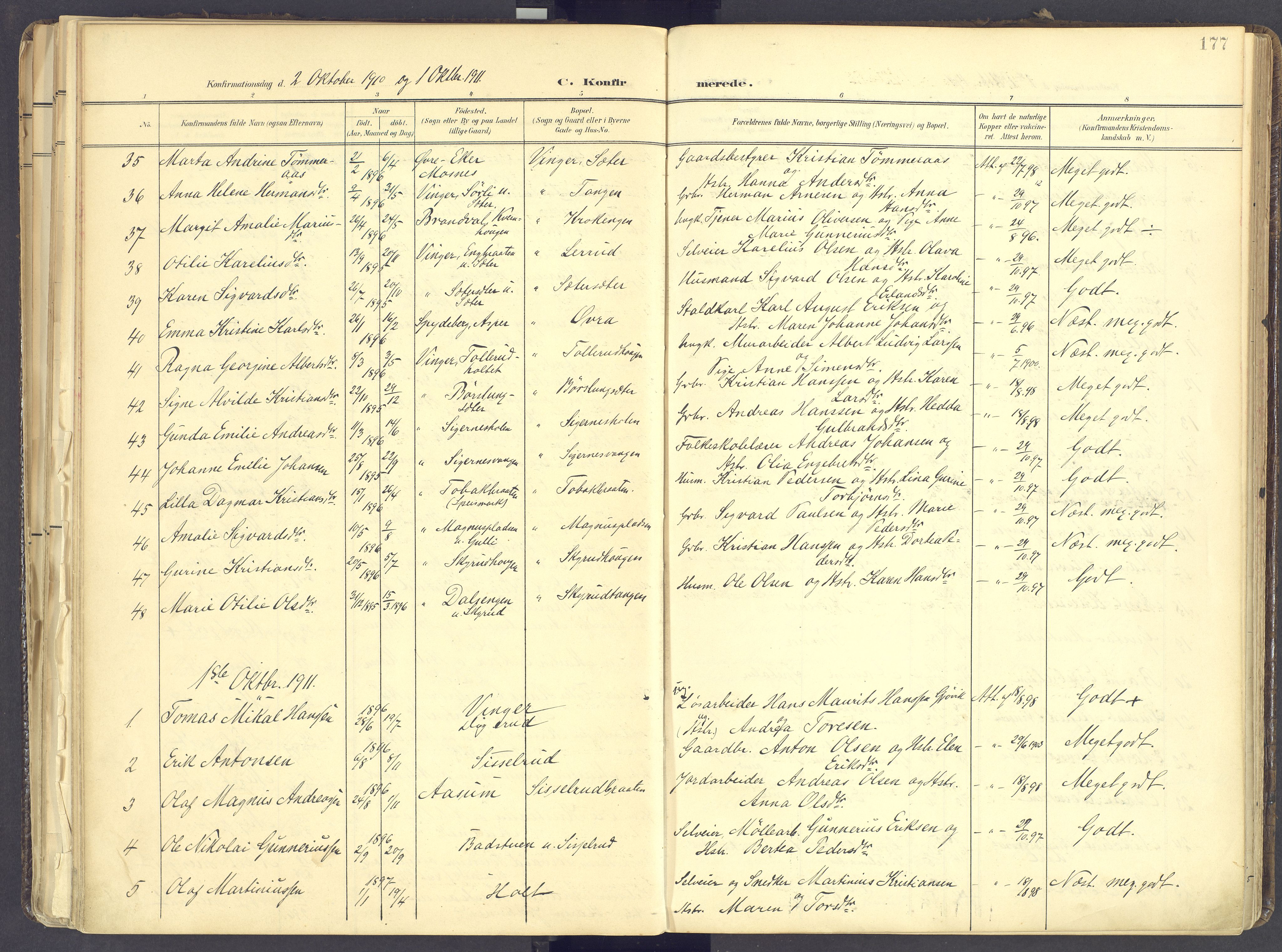 Vinger prestekontor, SAH/PREST-024/H/Ha/Haa/L0017: Parish register (official) no. 17, 1901-1927, p. 177