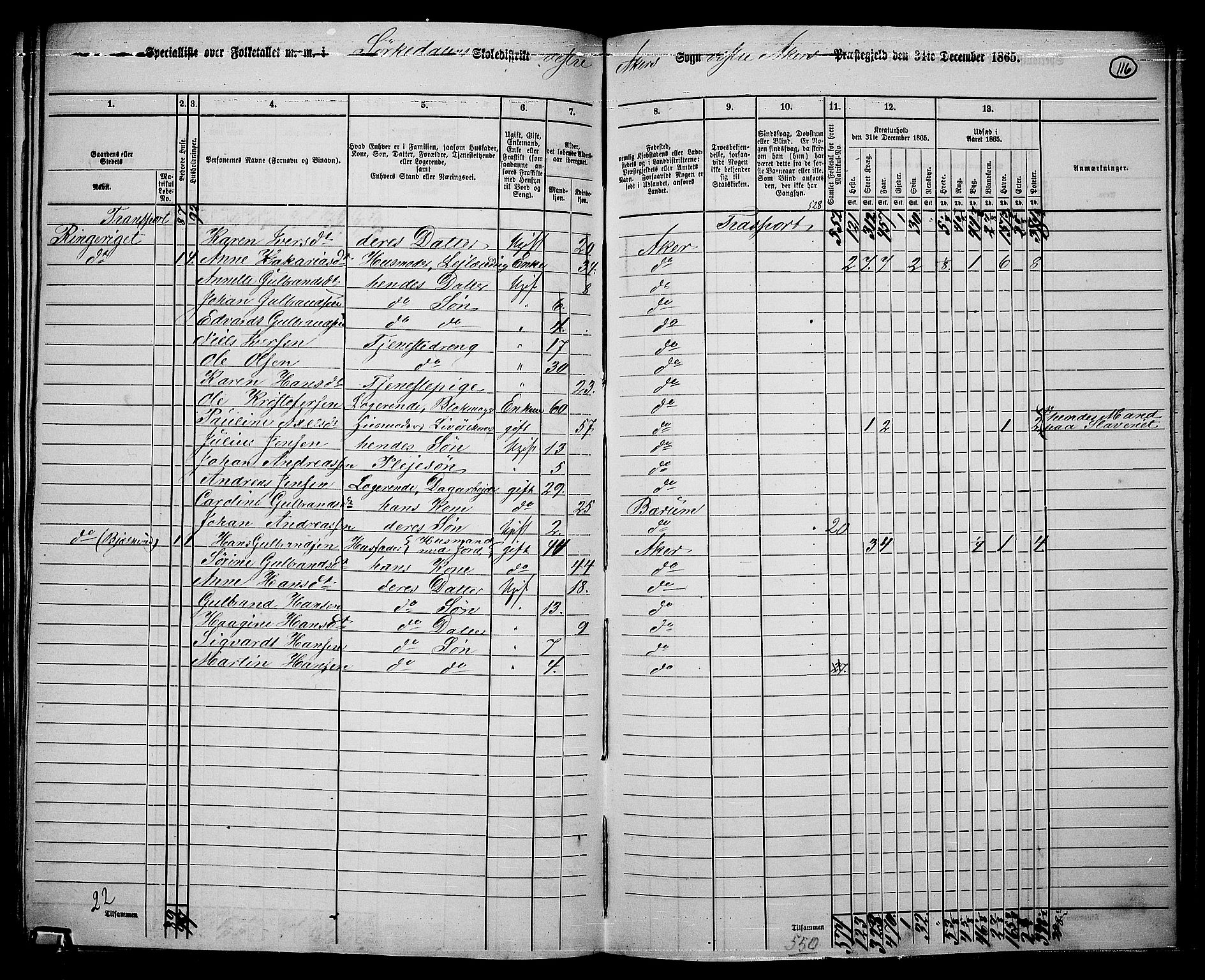 RA, 1865 census for Vestre Aker, 1865, p. 109