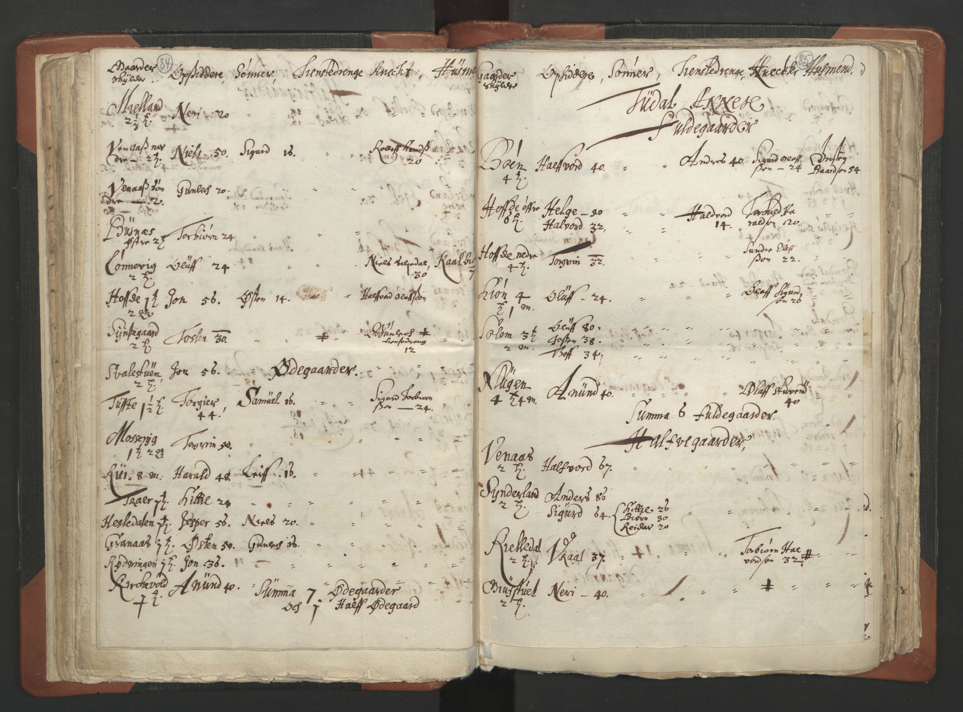 RA, Vicar's Census 1664-1666, no. 12: Øvre Telemark deanery, Nedre Telemark deanery and Bamble deanery, 1664-1666, p. 84-85