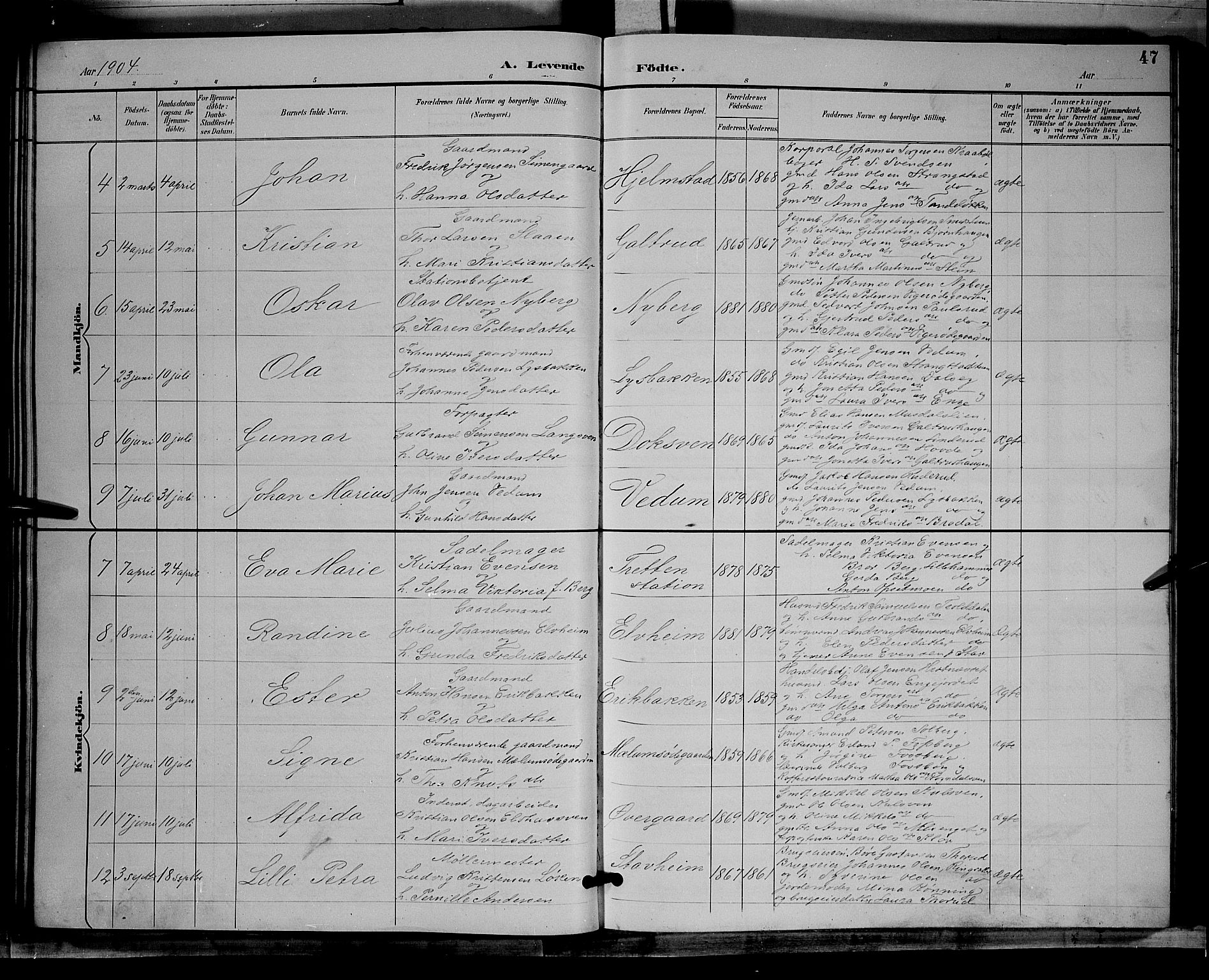 Øyer prestekontor, SAH/PREST-084/H/Ha/Hab/L0004: Parish register (copy) no. 4, 1894-1905, p. 47