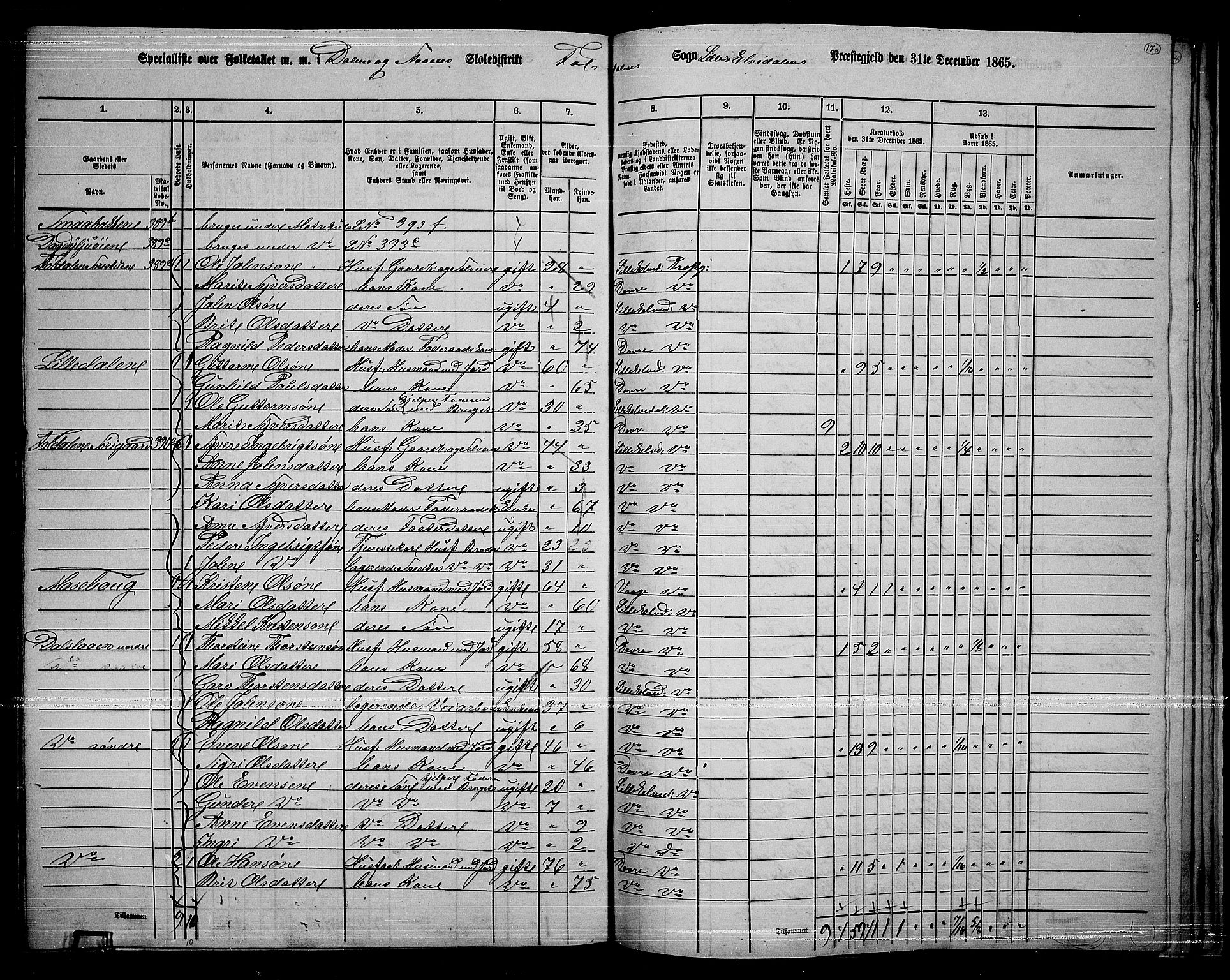 RA, 1865 census for Lille Elvedalen, 1865, p. 140