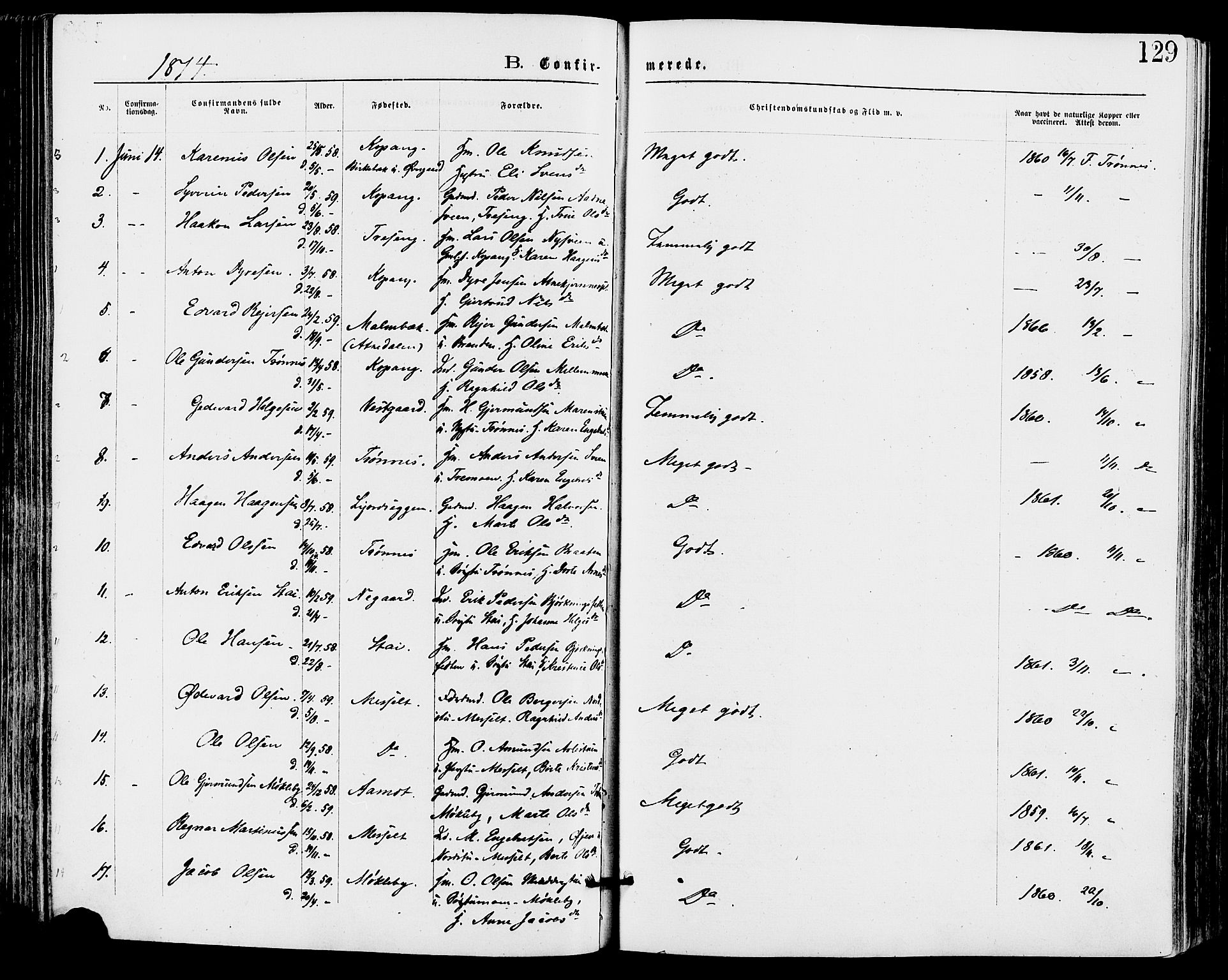 Stor-Elvdal prestekontor, SAH/PREST-052/H/Ha/Haa/L0001: Parish register (official) no. 1, 1871-1882, p. 129