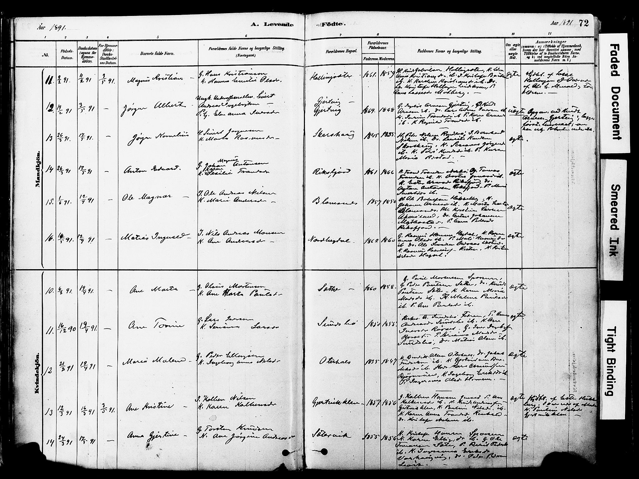 Ministerialprotokoller, klokkerbøker og fødselsregistre - Møre og Romsdal, AV/SAT-A-1454/560/L0721: Parish register (official) no. 560A05, 1878-1917, p. 72