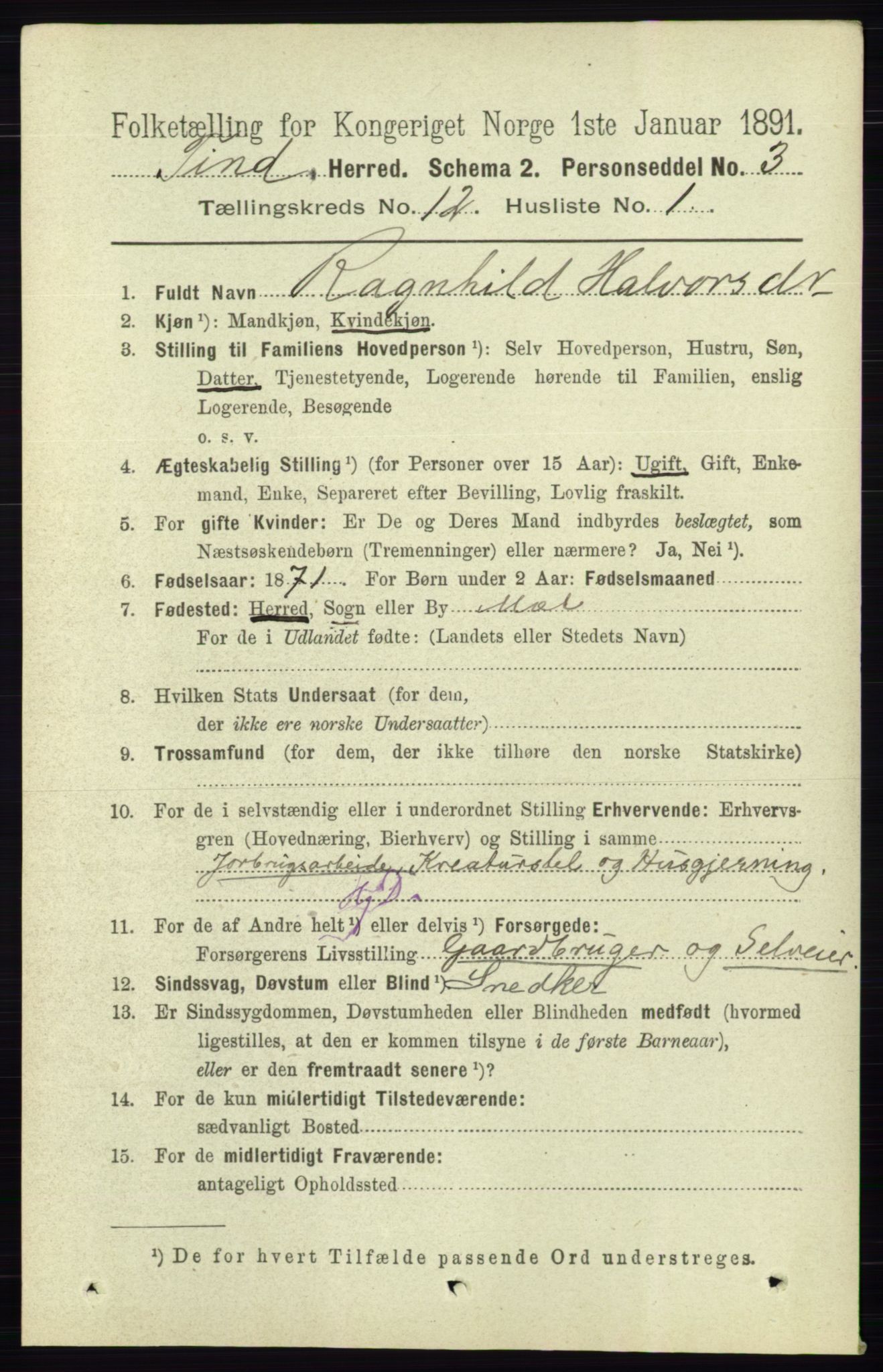 RA, 1891 census for 0826 Tinn, 1891, p. 2320