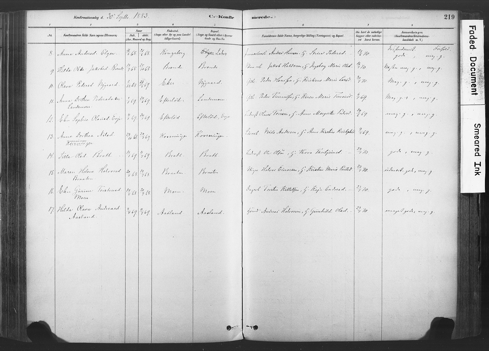 Sandsvær kirkebøker, AV/SAKO-A-244/F/Fd/L0001: Parish register (official) no. IV 1, 1878-1906, p. 219