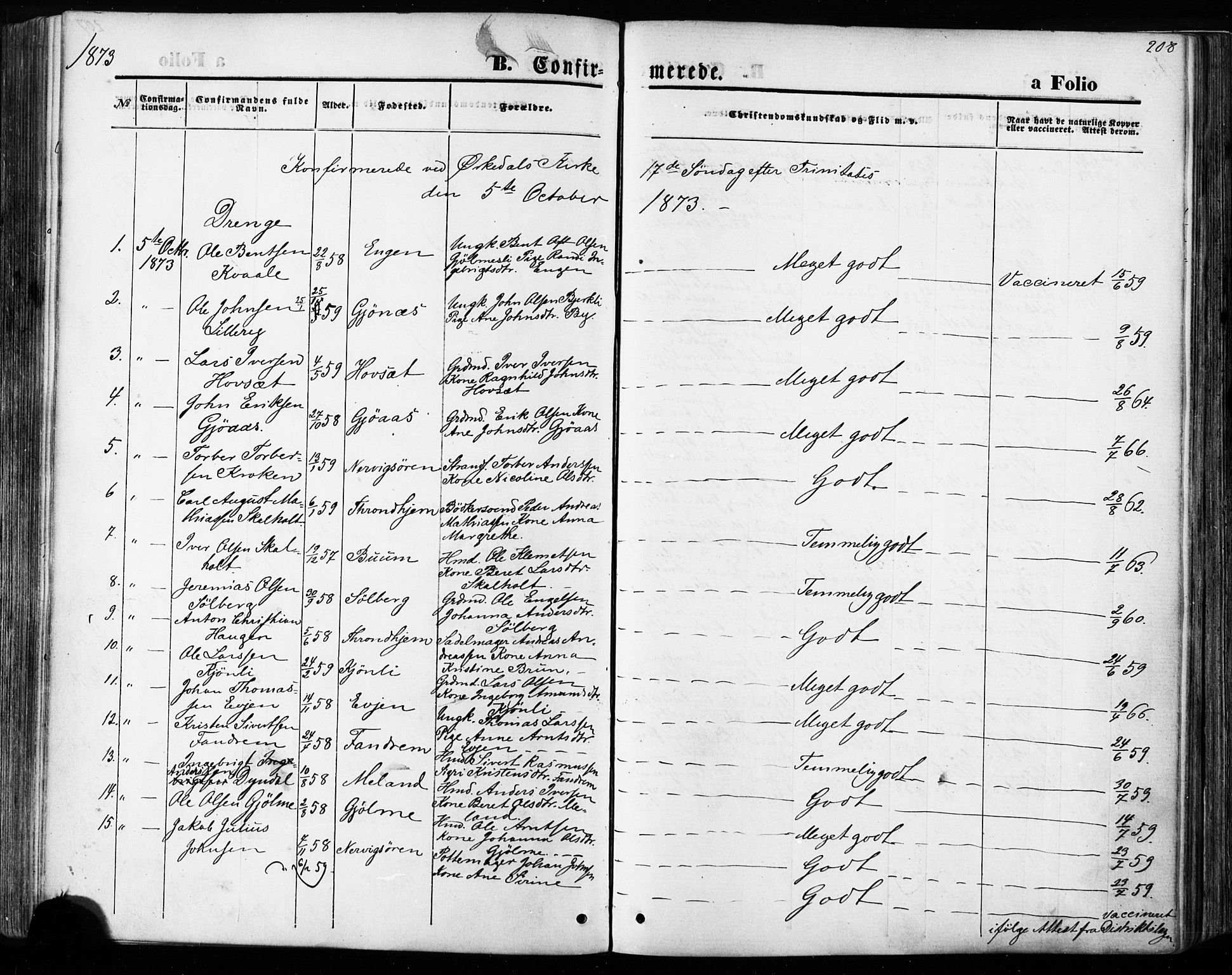 Ministerialprotokoller, klokkerbøker og fødselsregistre - Sør-Trøndelag, AV/SAT-A-1456/668/L0807: Parish register (official) no. 668A07, 1870-1880, p. 208