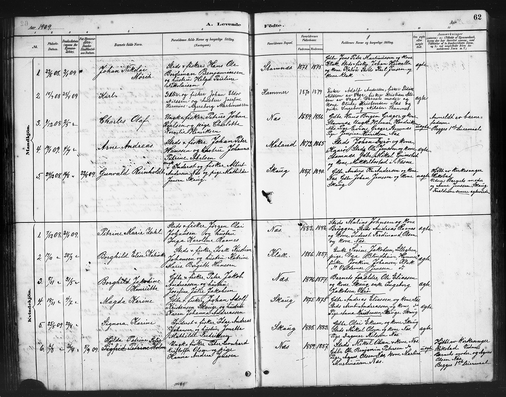 Ministerialprotokoller, klokkerbøker og fødselsregistre - Nordland, AV/SAT-A-1459/808/L0131: Parish register (copy) no. 808C02, 1879-1919, p. 62