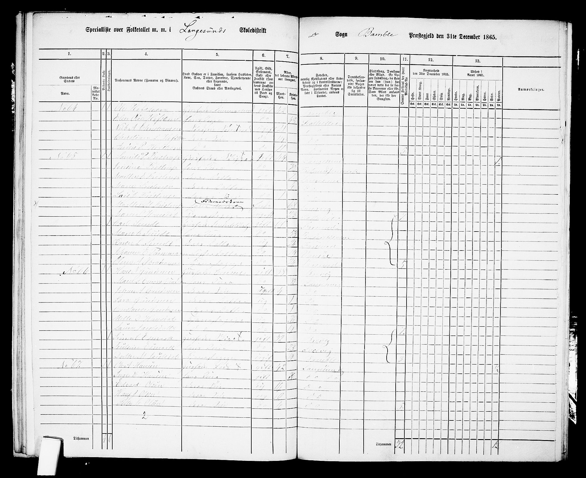 RA, 1865 census for Bamble, 1865, p. 204