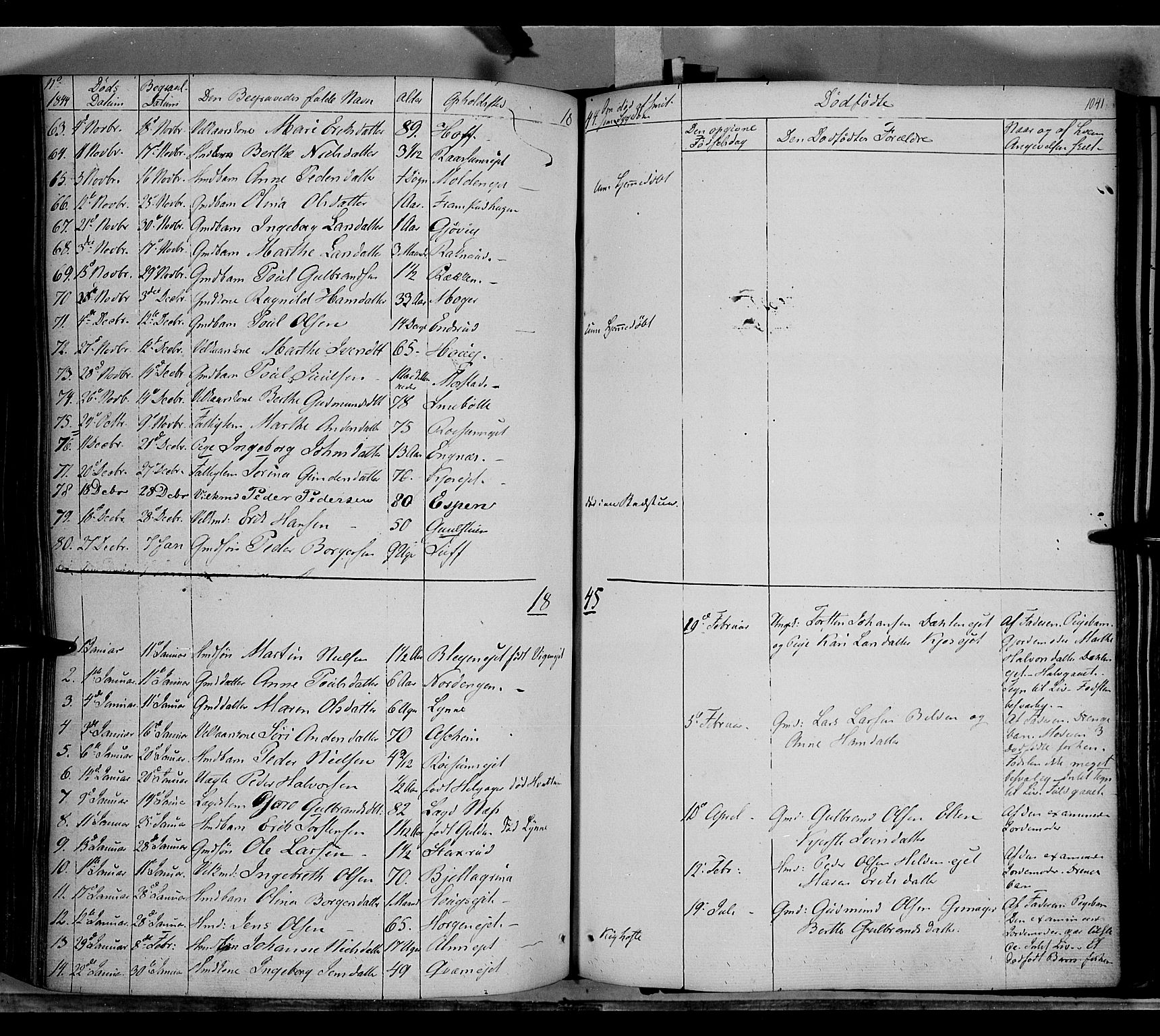 Gran prestekontor, SAH/PREST-112/H/Ha/Haa/L0011: Parish register (official) no. 11, 1842-1856, p. 1040-1041